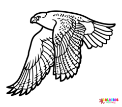 Falcon Coloring Pages
