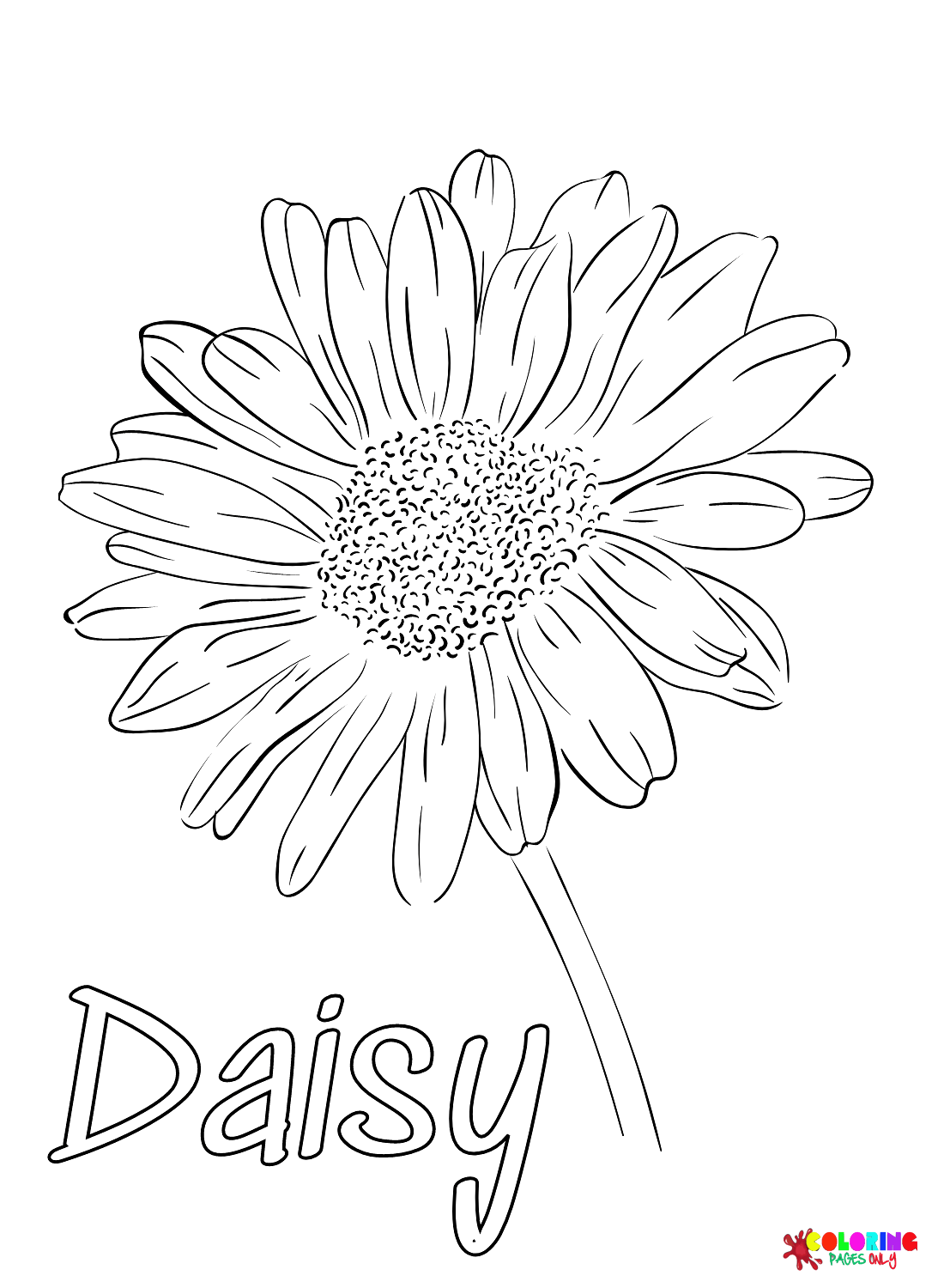 Daisy Flower Coloring Pages At Getcolorings Com Free - vrogue.co