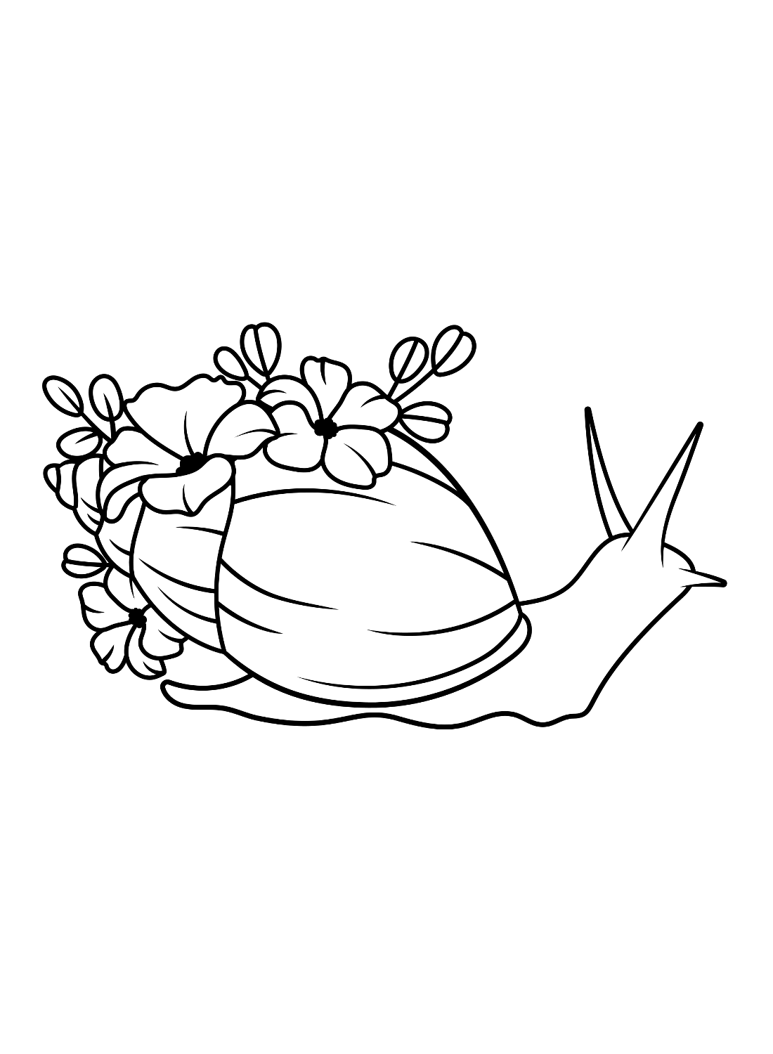 Цветы Улитка из Snail