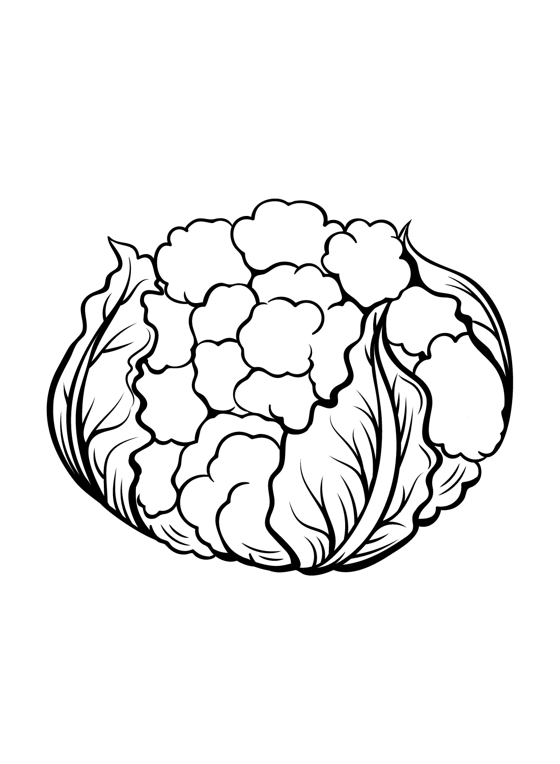 Couve-flor grátis de Couve-flor