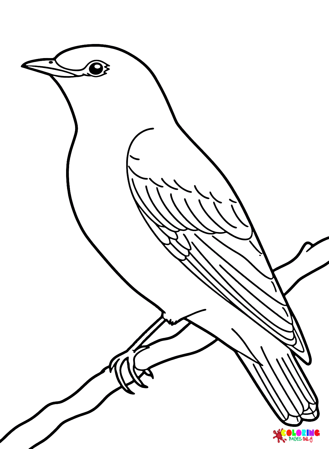 Gratis Koekoeksvogel van Koekoek