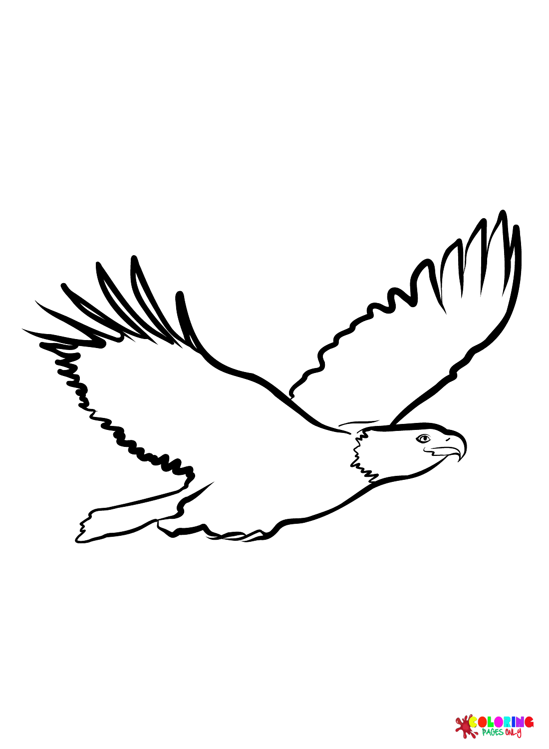 Falcão grátis do Falcon