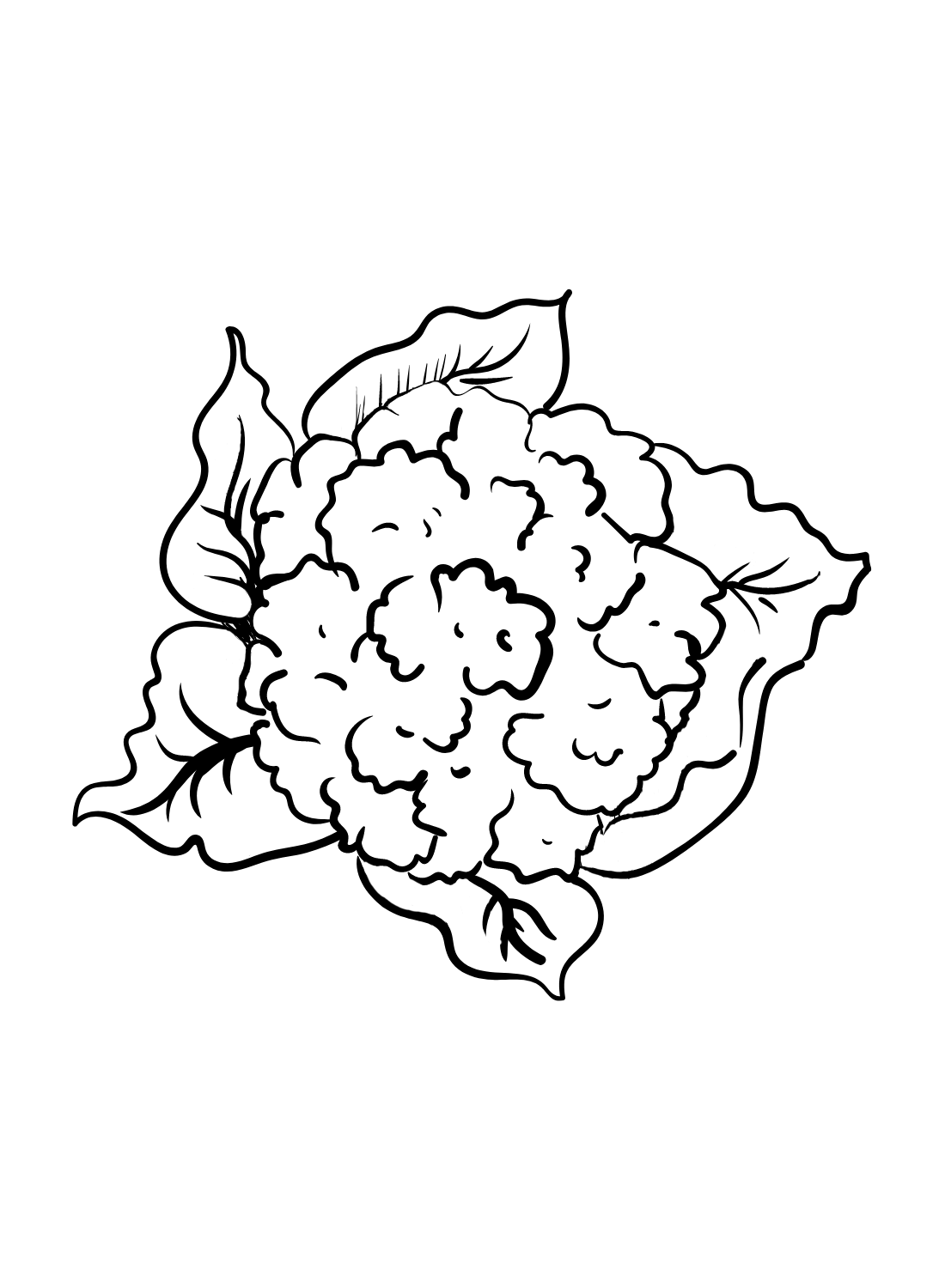 Free Printable Cauliflower Coloring Page