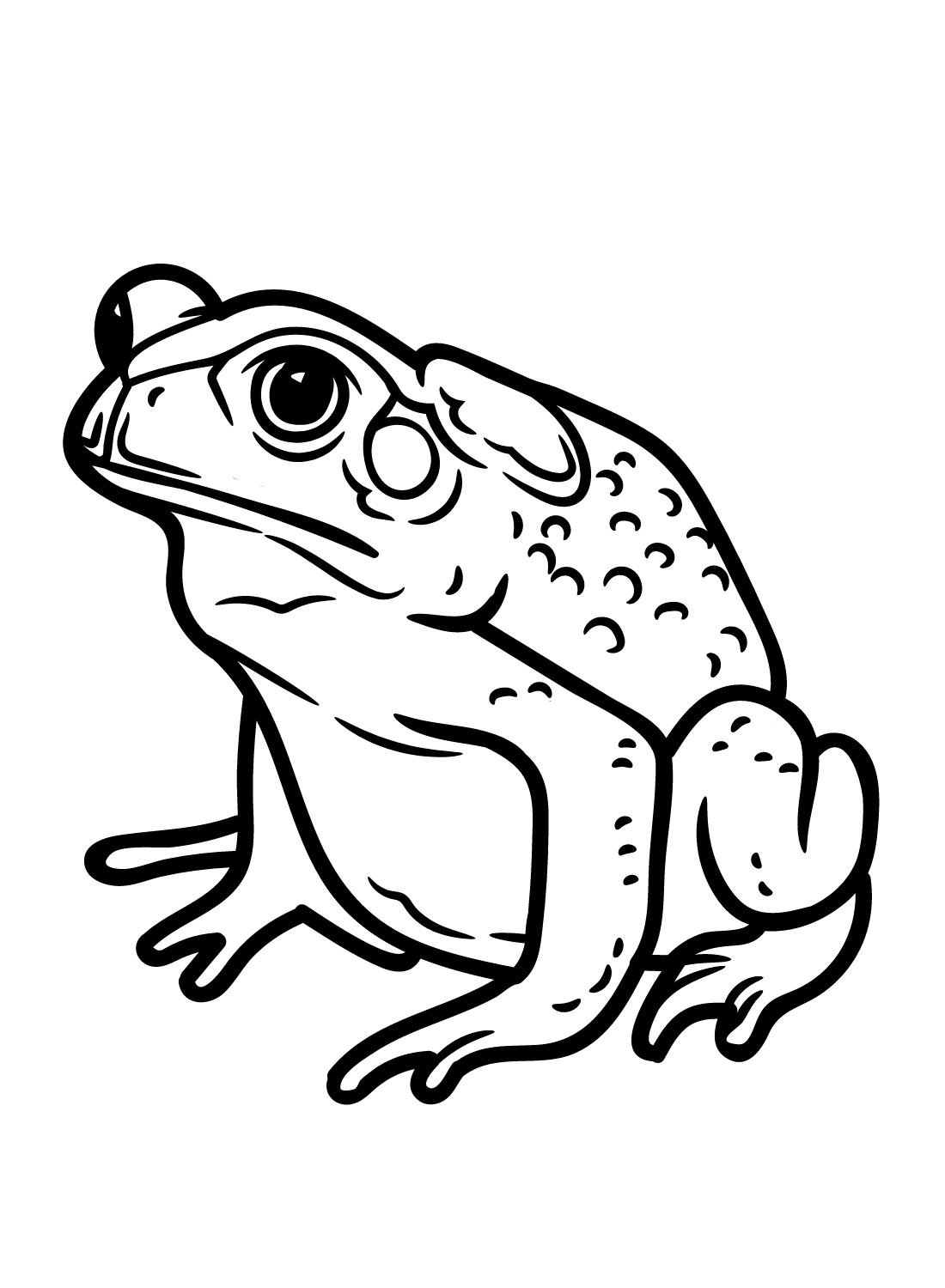 Free Printable Toad Coloring Page