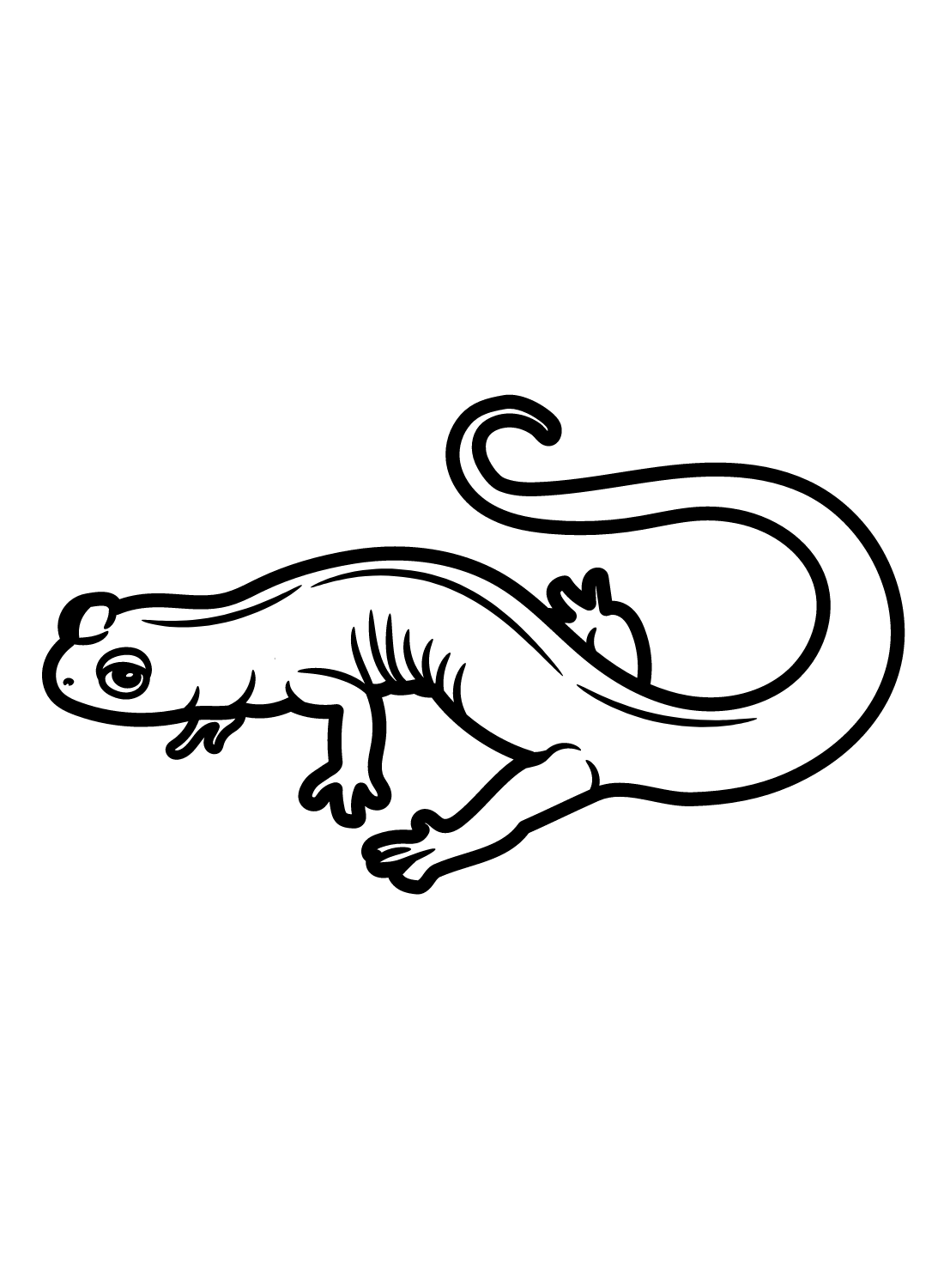 Gray Cheeked Salamander Coloring Page