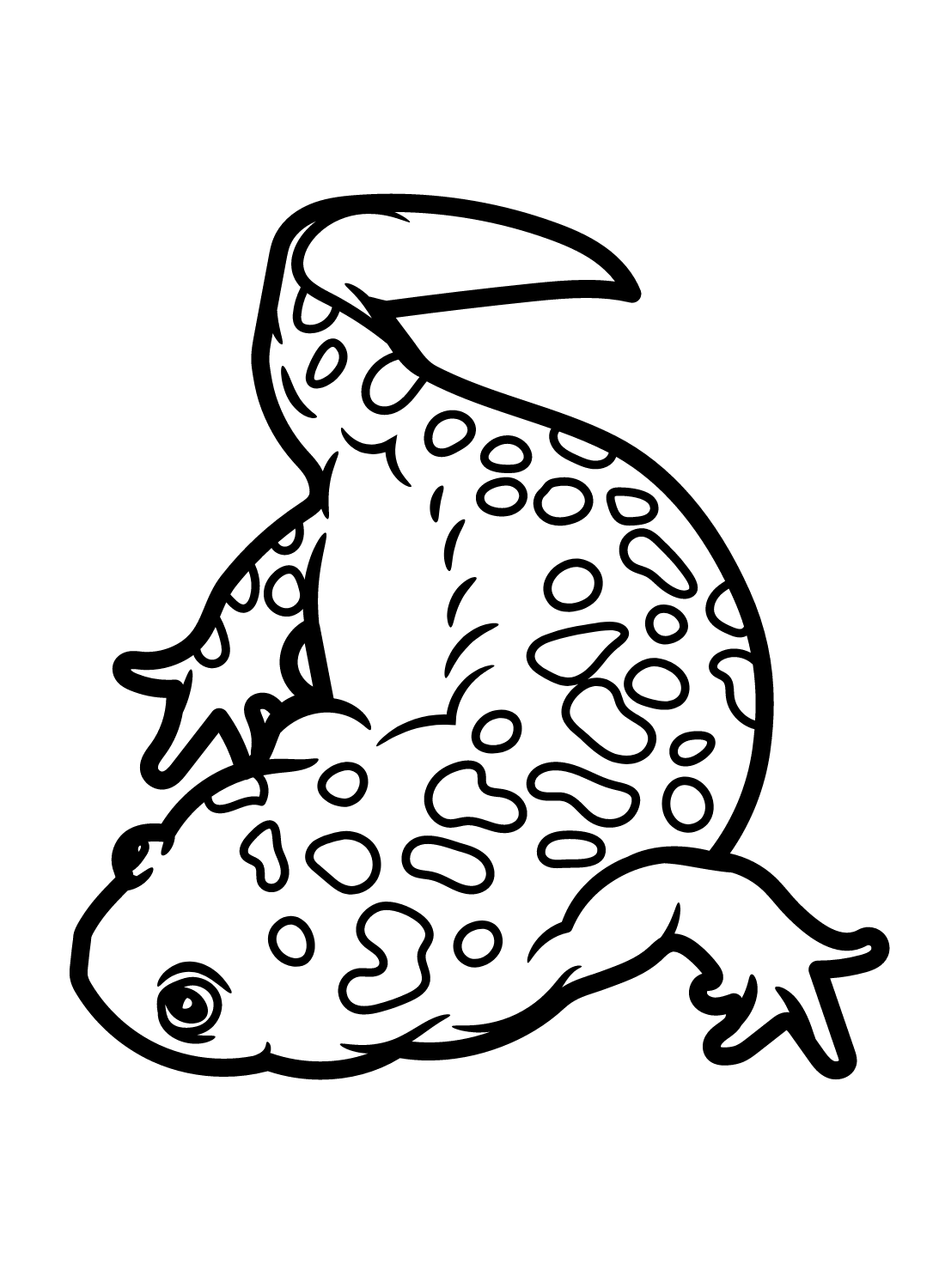 Iberian Ribbed Newt Coloring Page