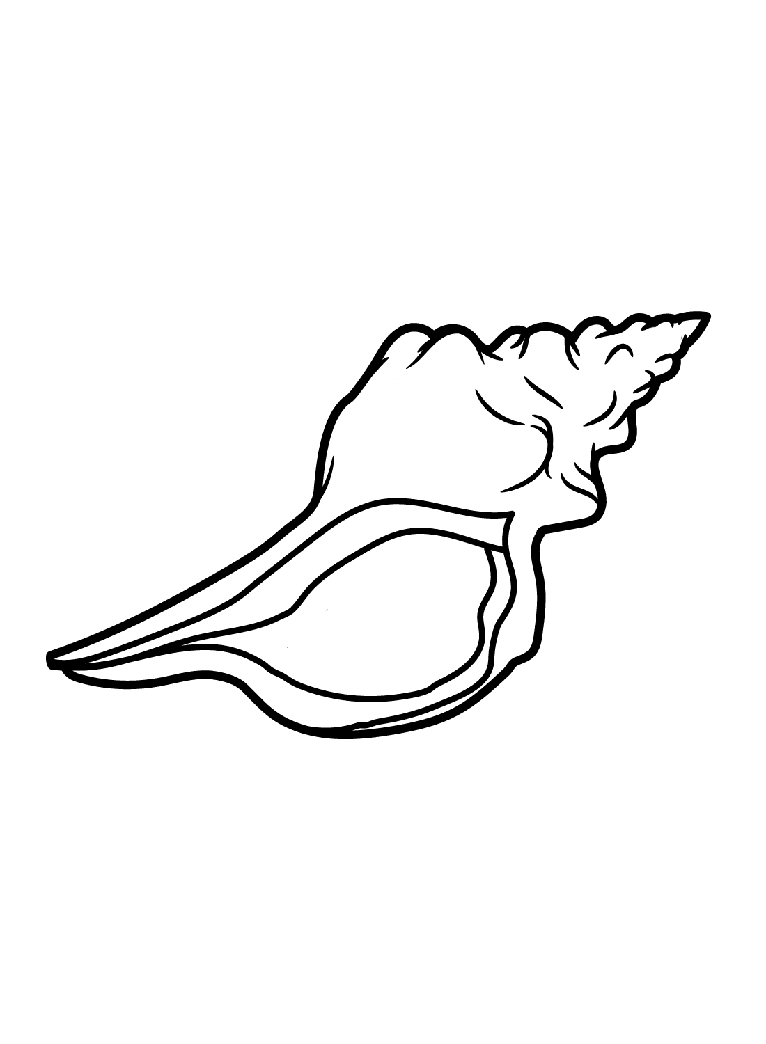 Images Conch Coloring Page