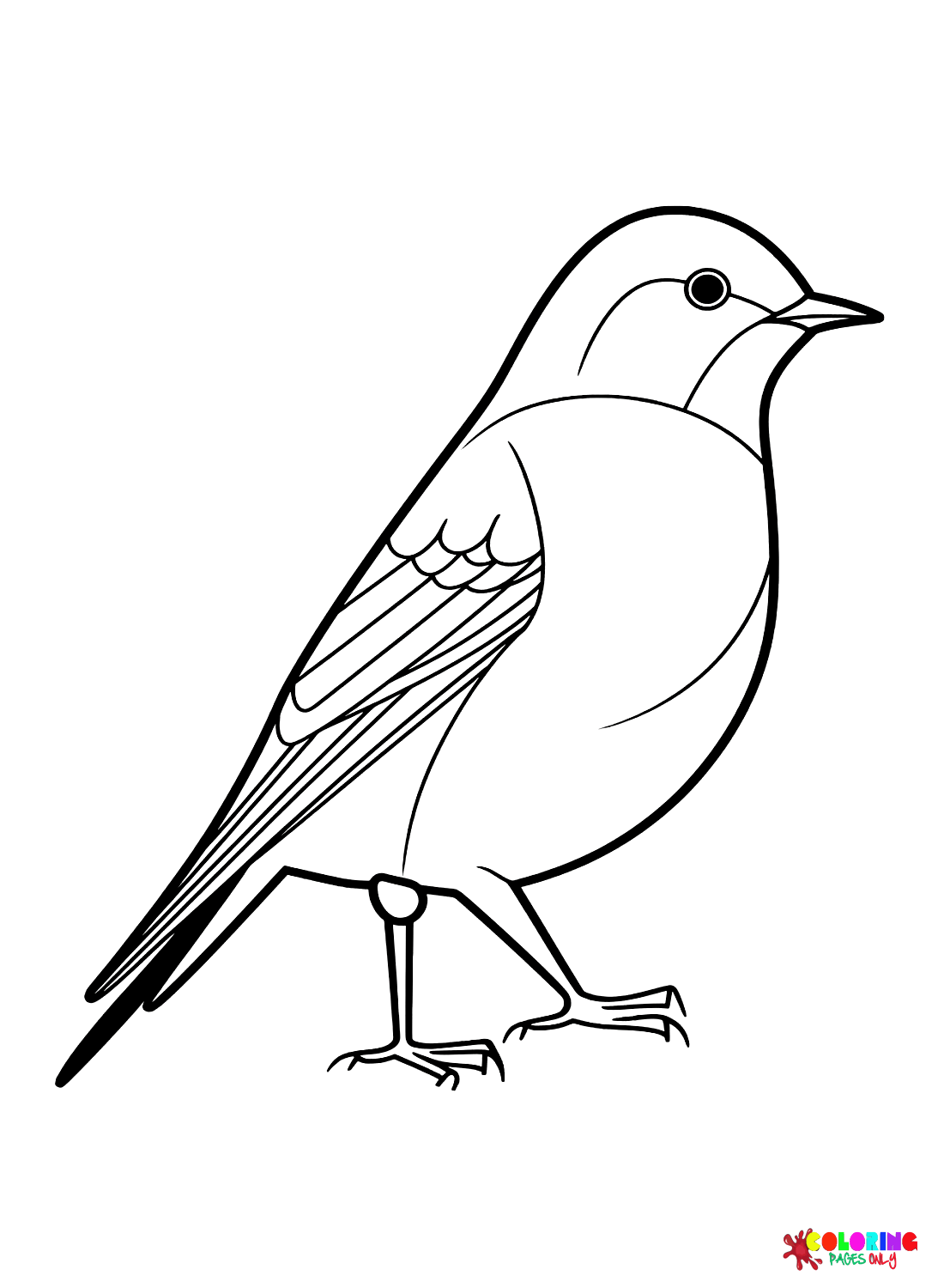 Images Cuckoo Bird Coloring Page