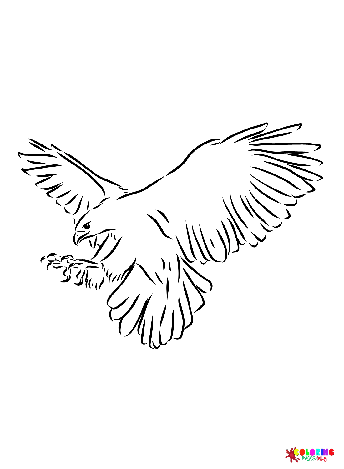 Images Falcon Coloring Page