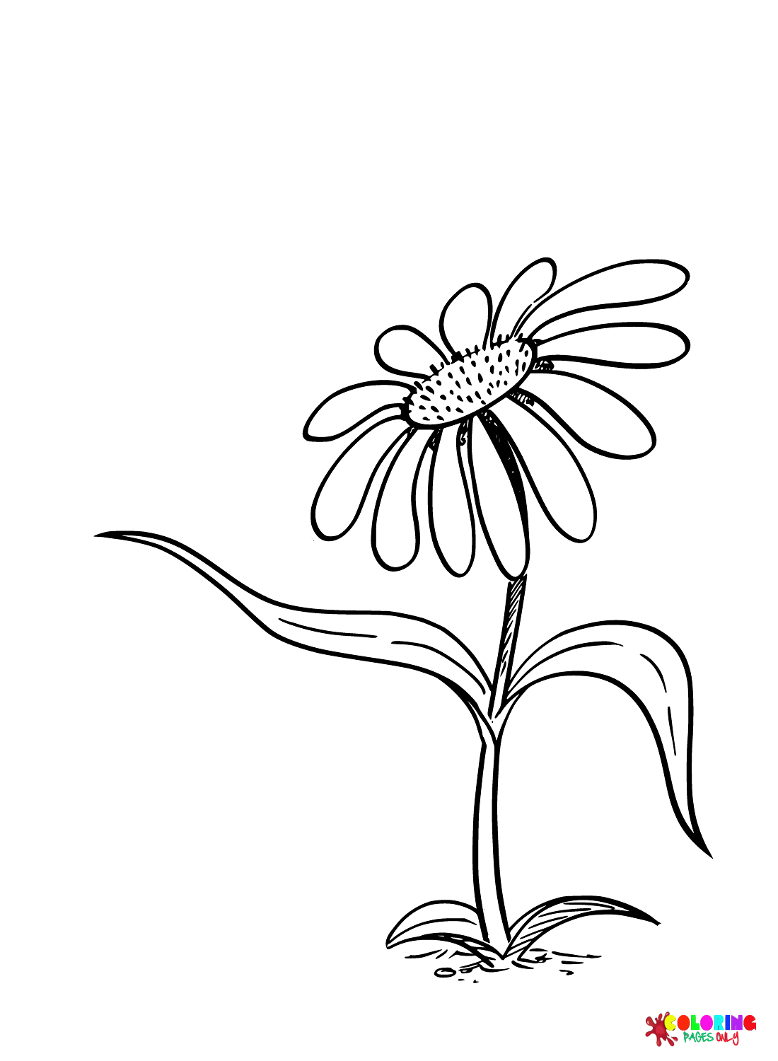 Lovely Daisy Coloring Page