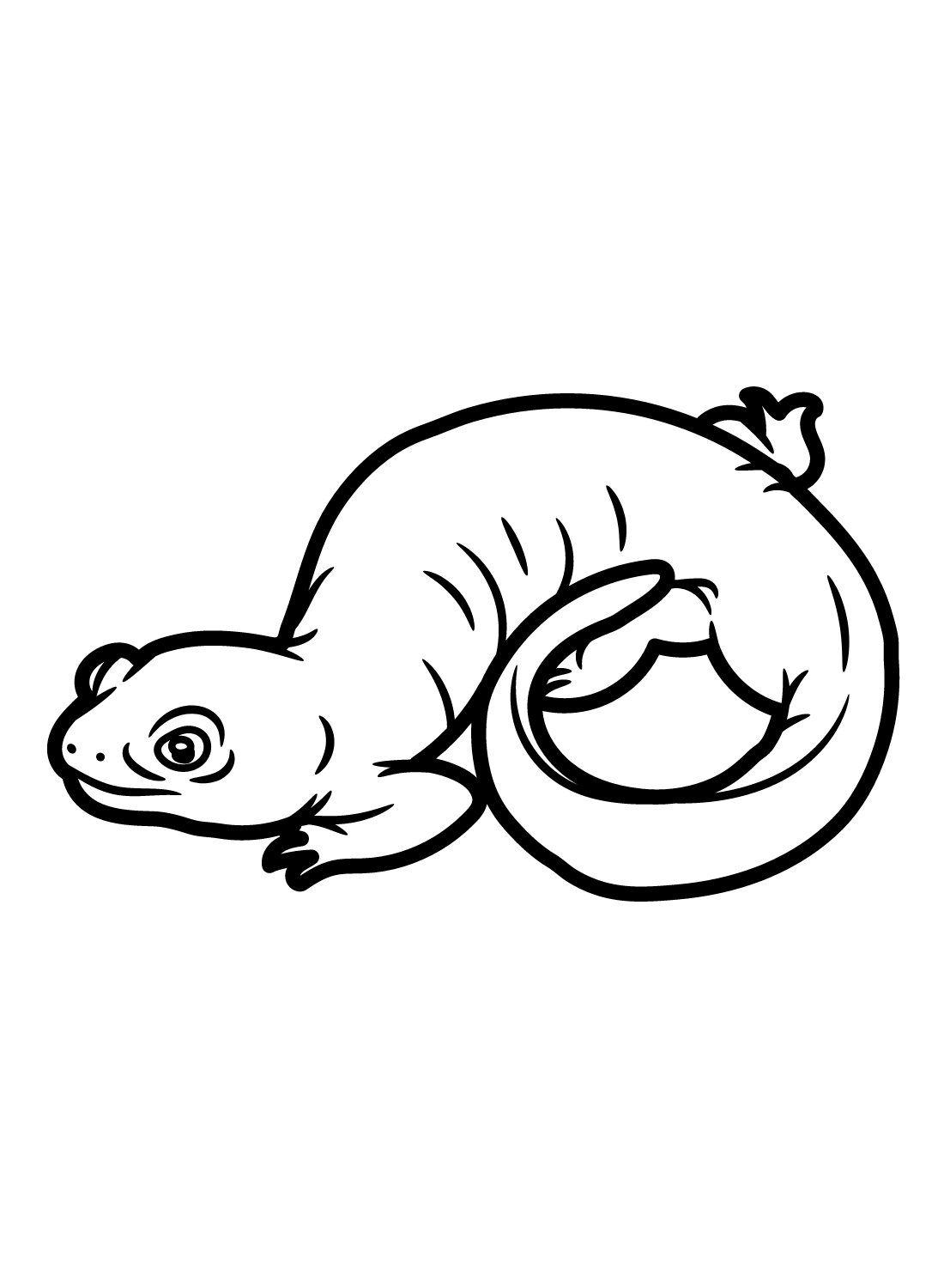 Mabees Salamander van Salamander