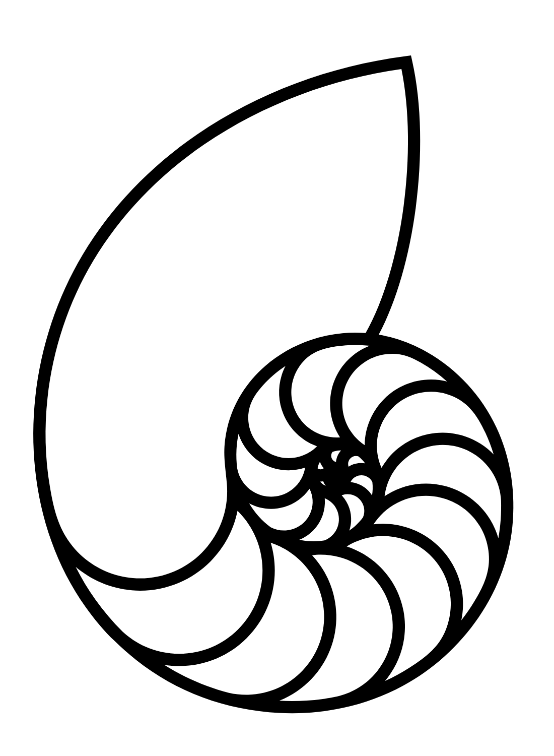 Imagens do Nautilus do Nautilus