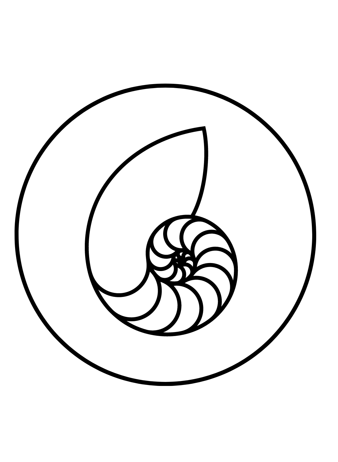 Concha Nautilus da Nautilus