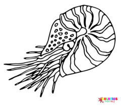 Nautilus Coloring Pages