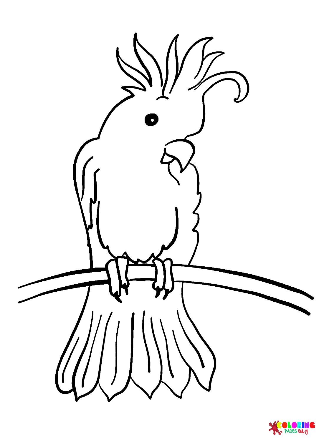 Oiseau cacatoès orange de cacatoès