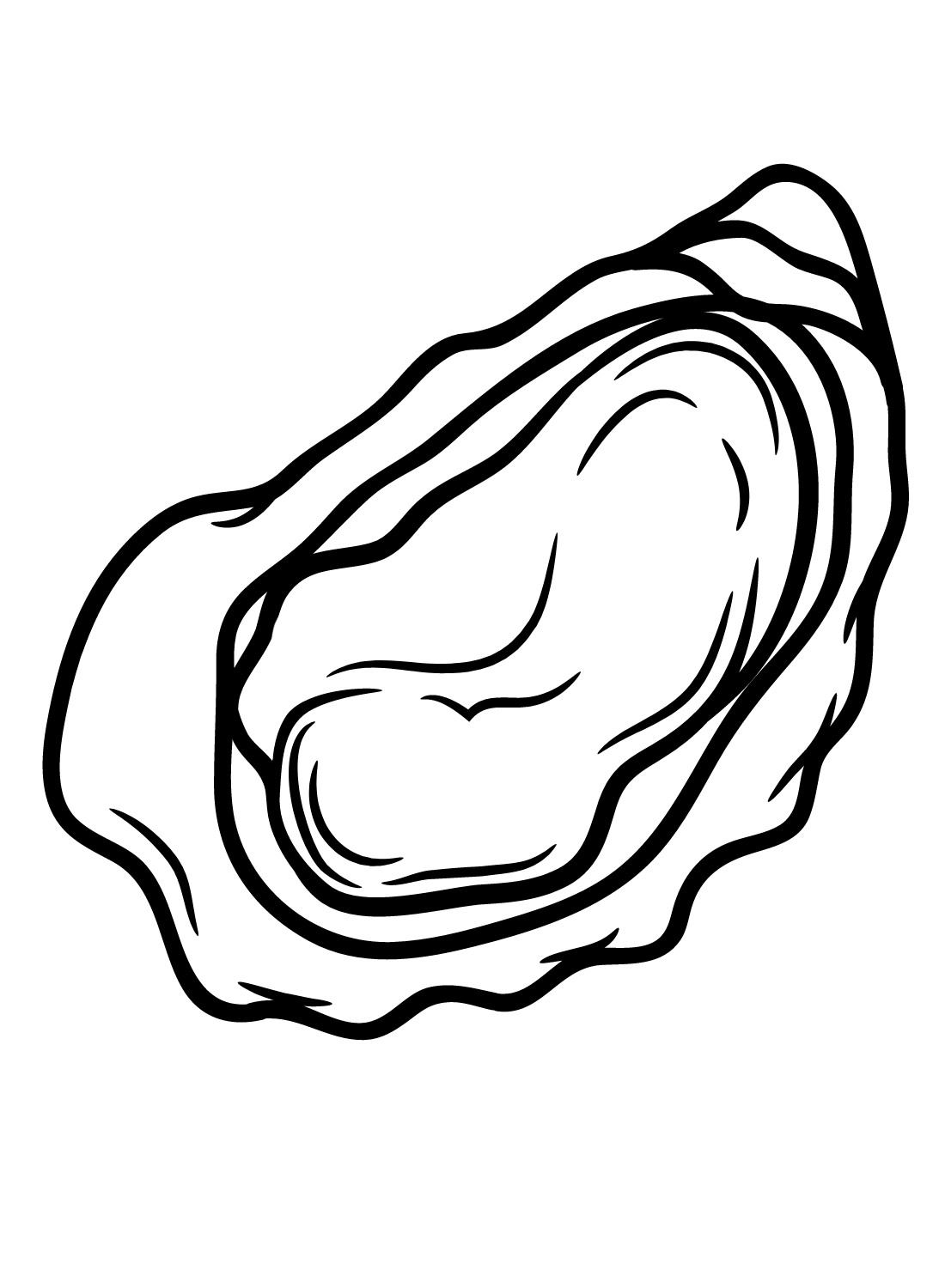 Imagens de ostras de Oyster