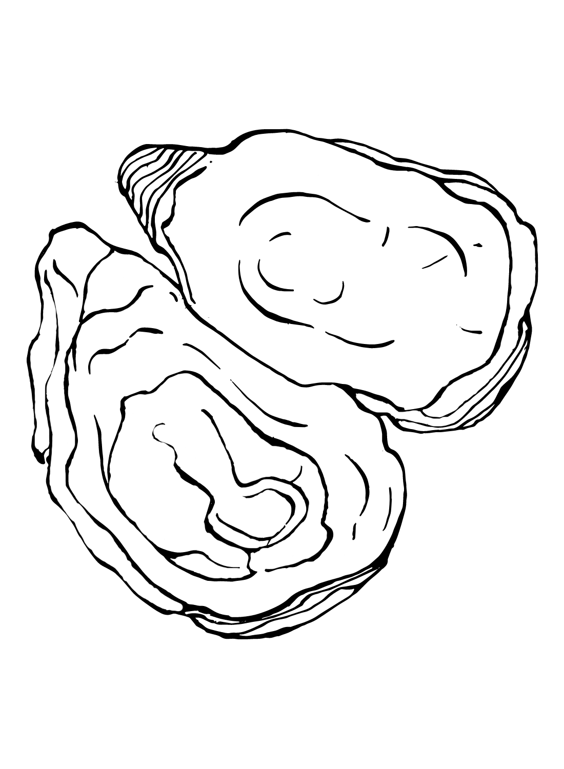 Oyster kleurvellen van Oyster