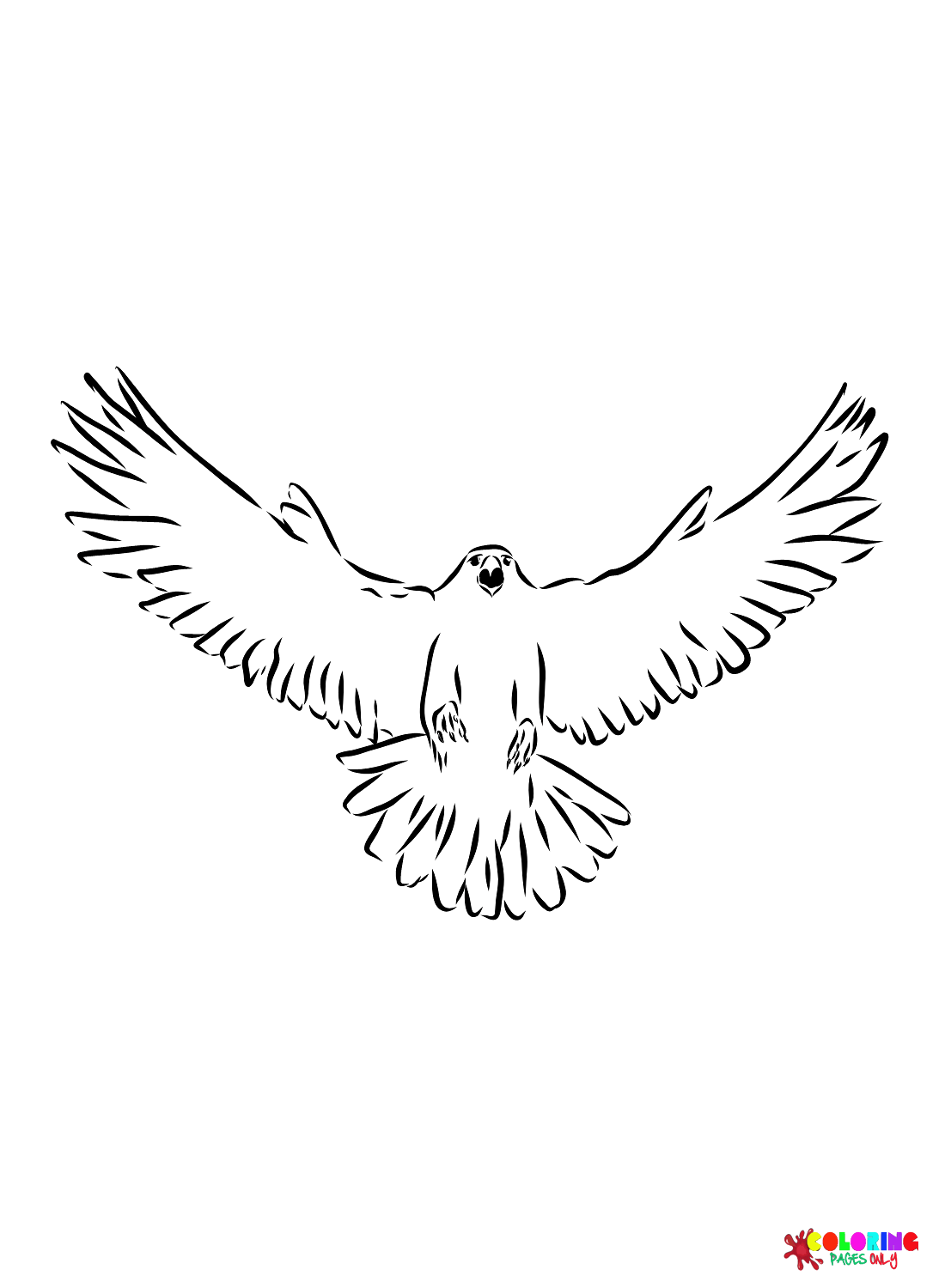 Pictures Falcon Coloring Page
