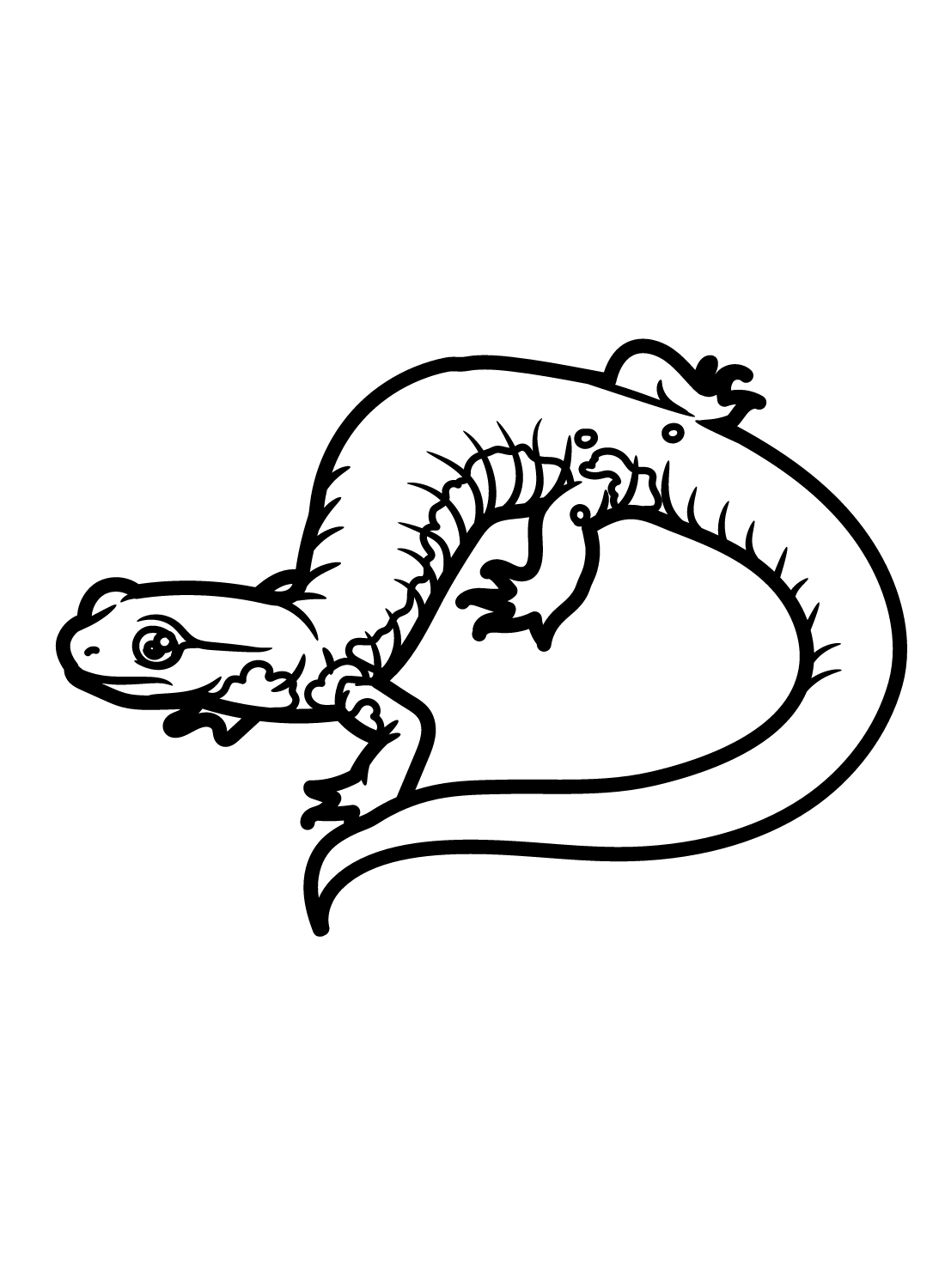 Pictures Salamander Coloring Page