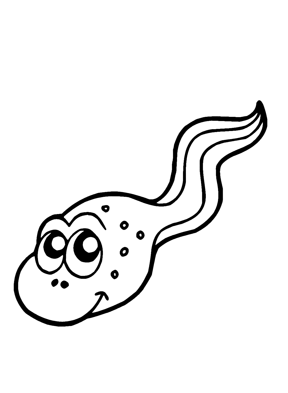 Pictures Tadpole Coloring Page