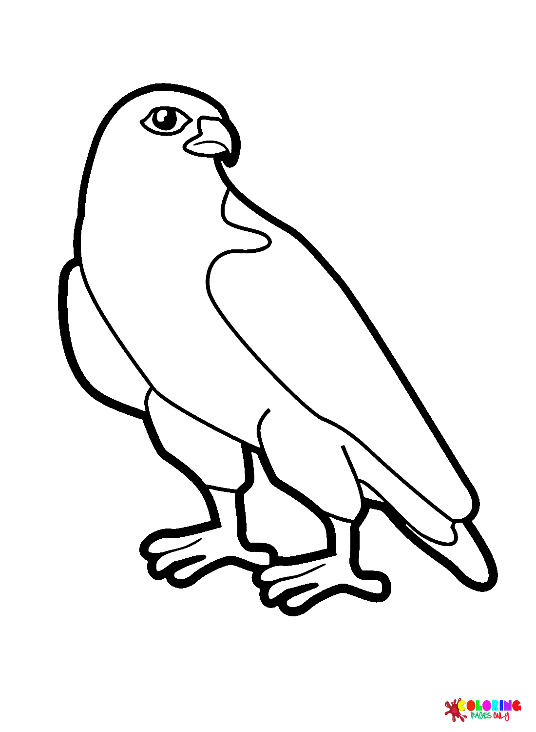 Pictures of Falcon Coloring Page