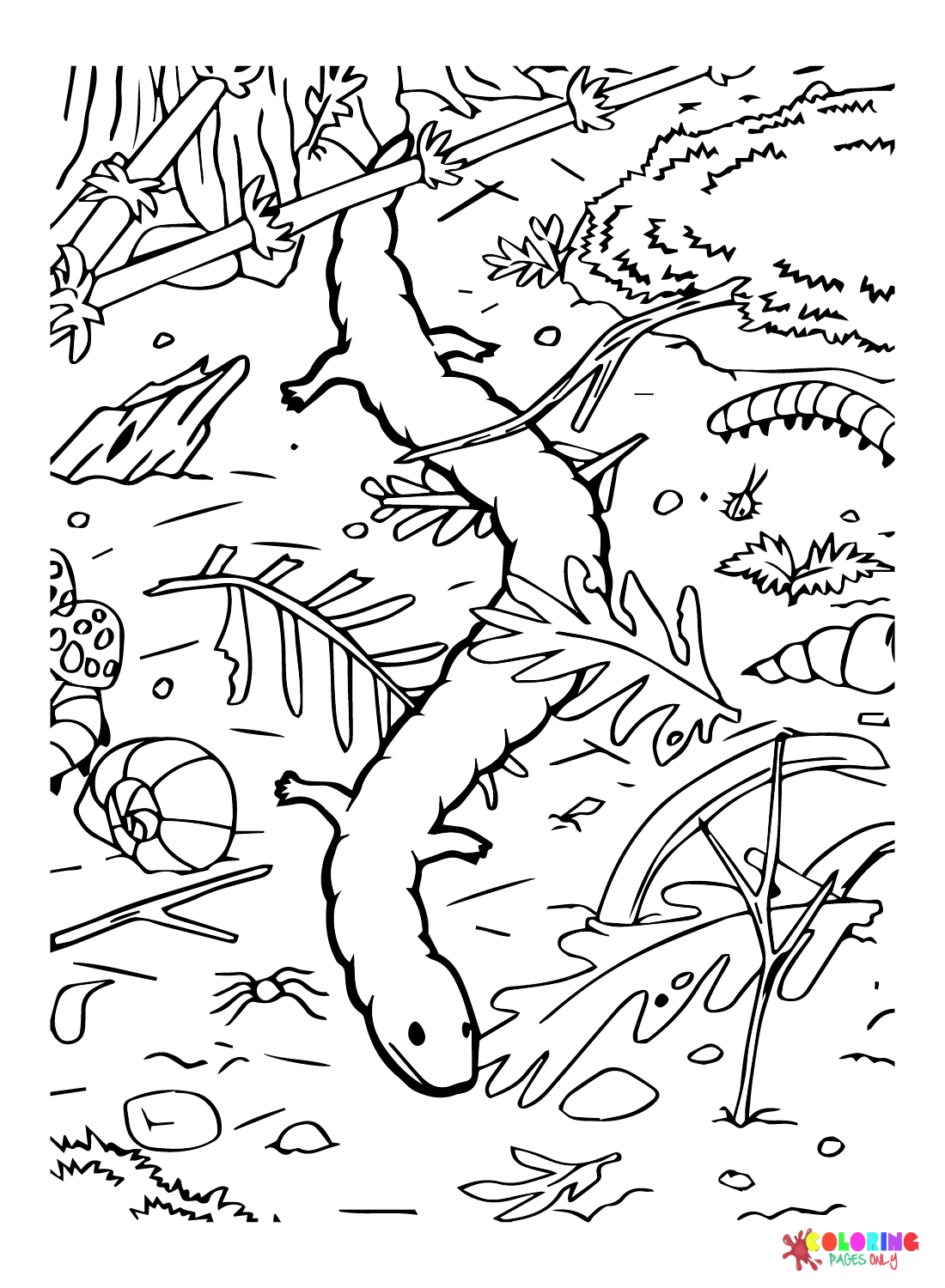 Prehistoric Creatures Coloring Page