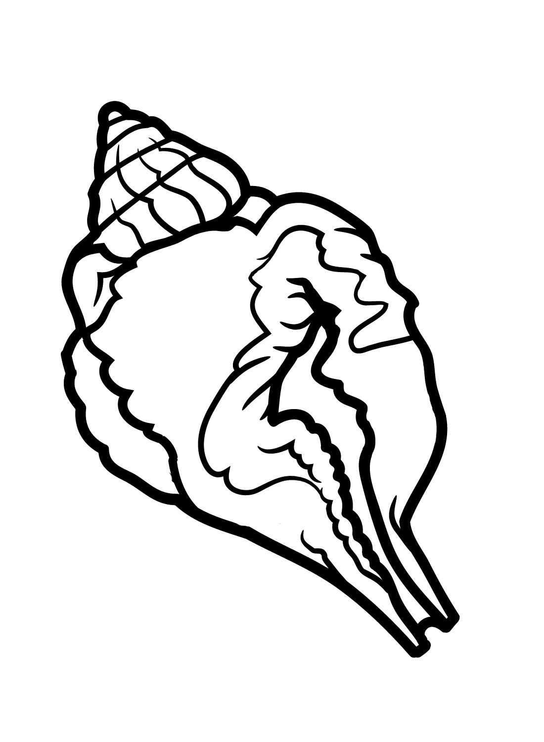 Print Conch Coloring Page