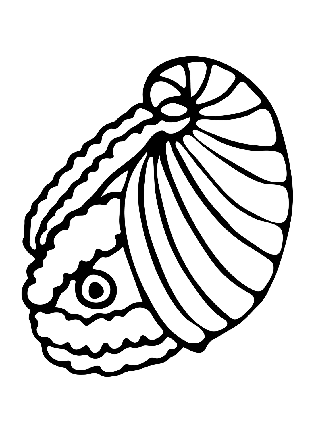 Imprimir Nautilus do Nautilus