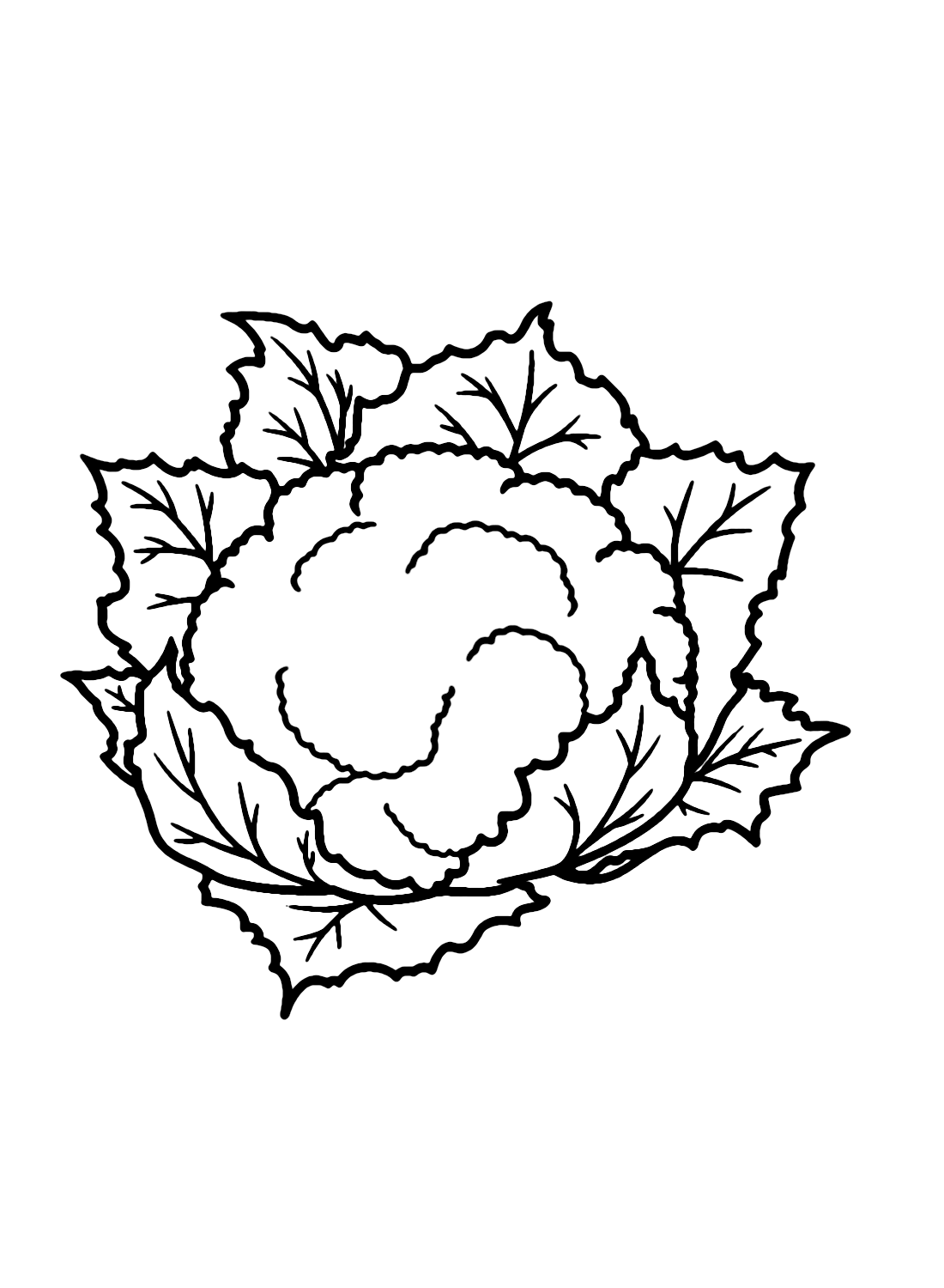 Chou-fleur imprimable à partir de chou-fleur