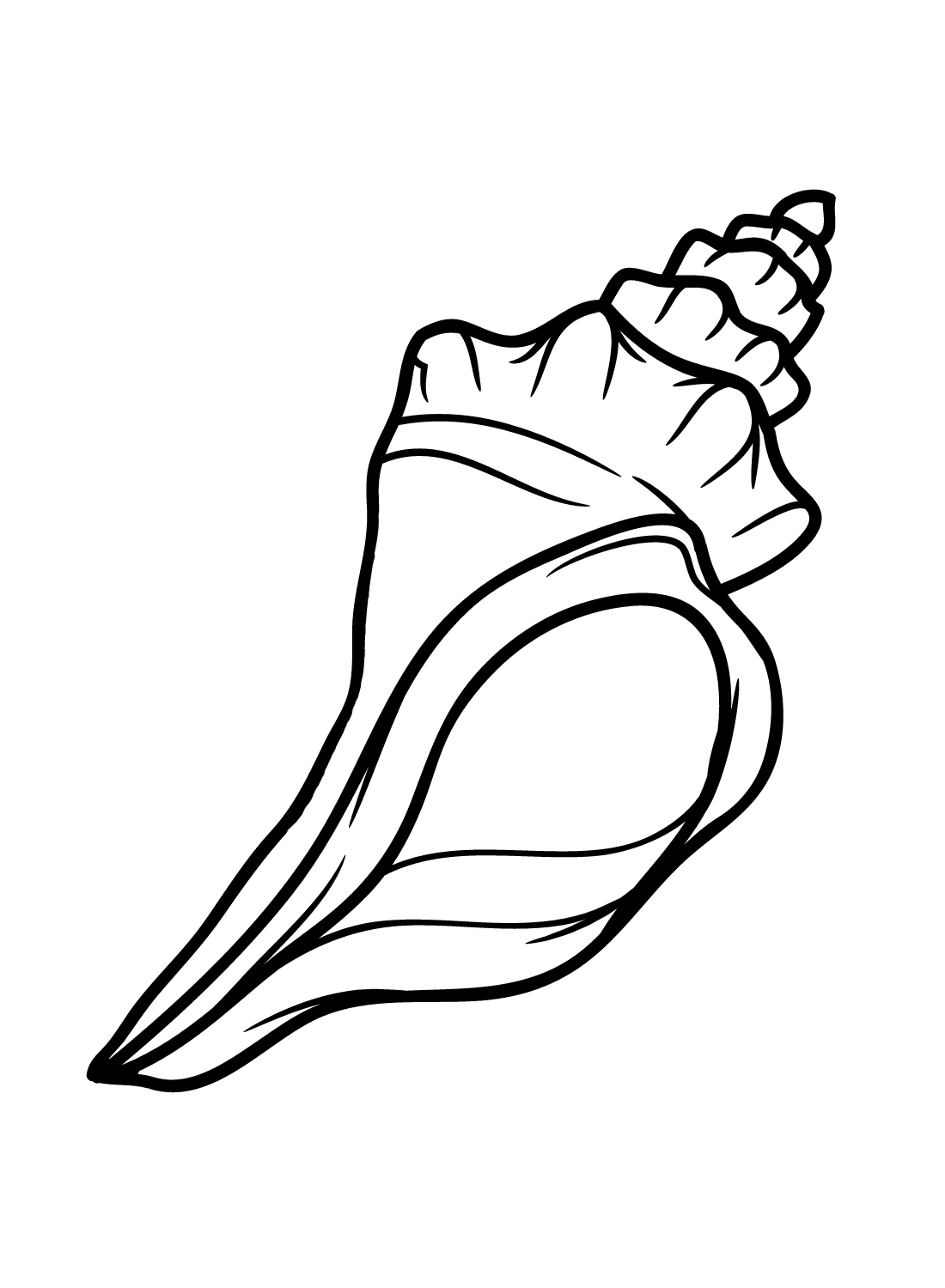 Printable Conch Coloring Page