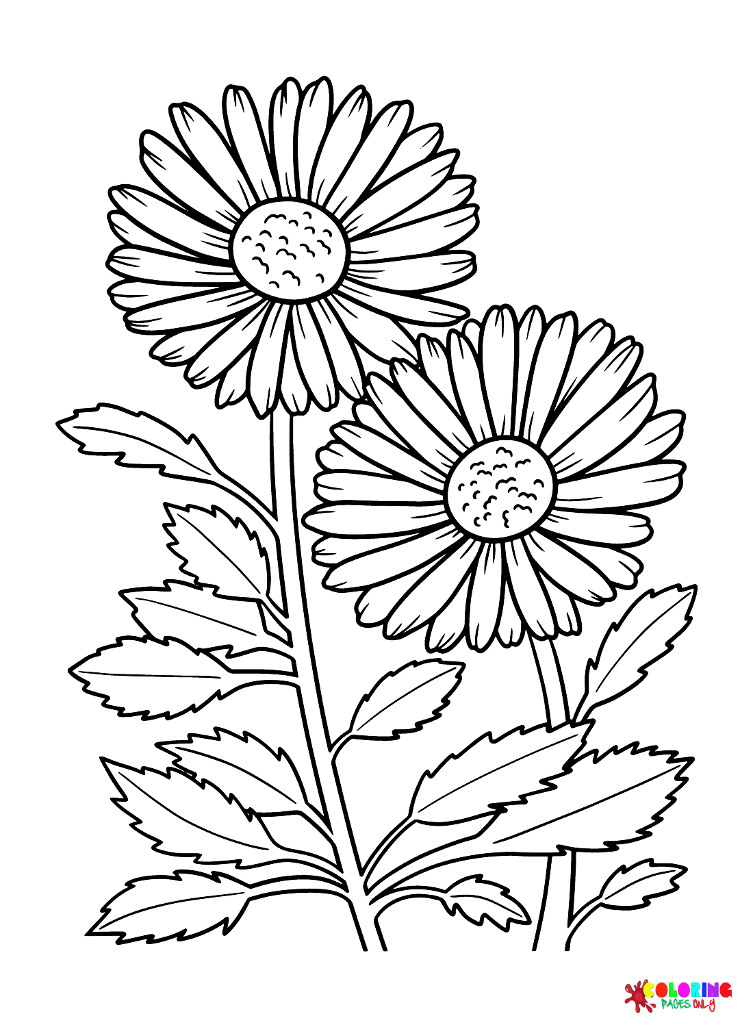 Printable Daisy Coloring Page