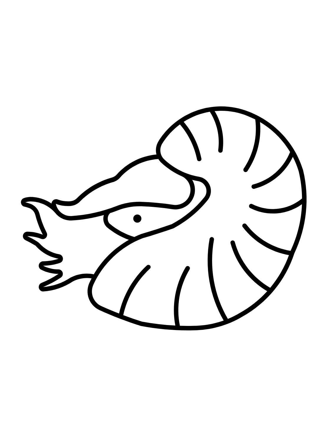 Nautilus para impressão do Nautilus