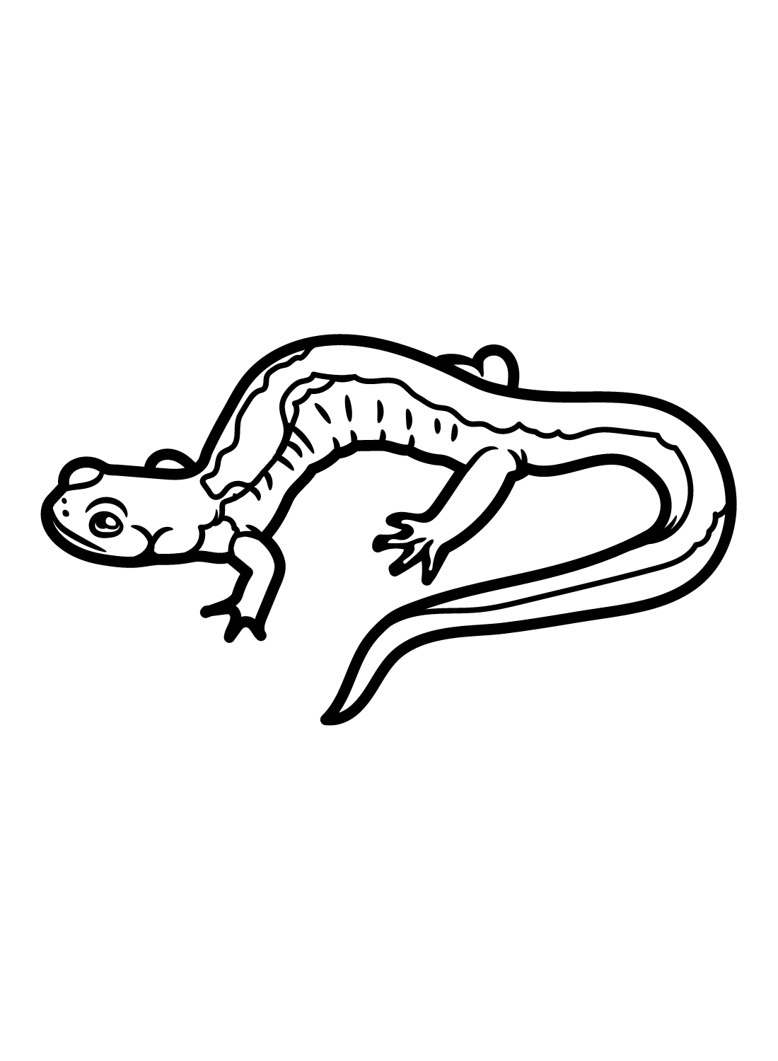 Afdrukbare Salamander van Salamander