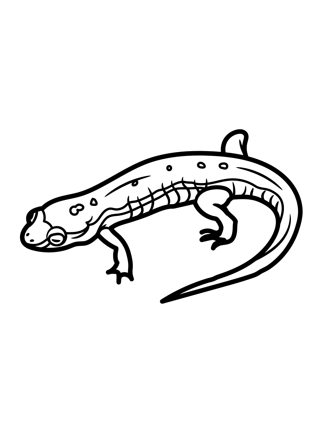 Pygmy Salamander Coloring Page