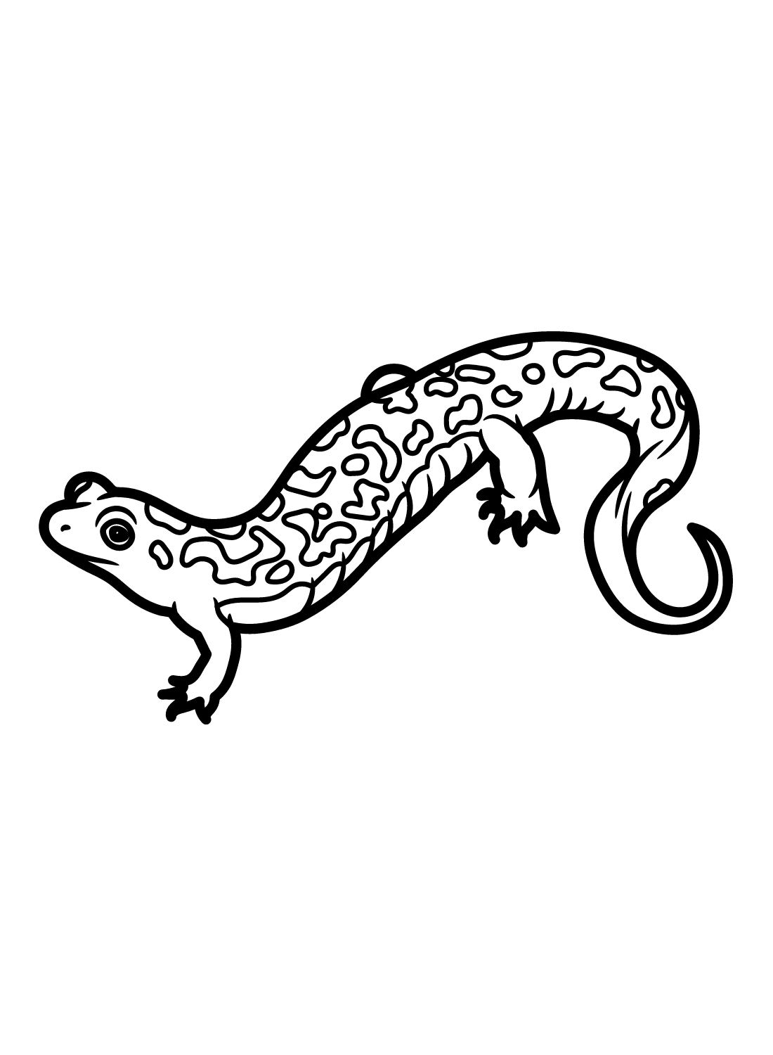 Seal Salamander Coloring Page