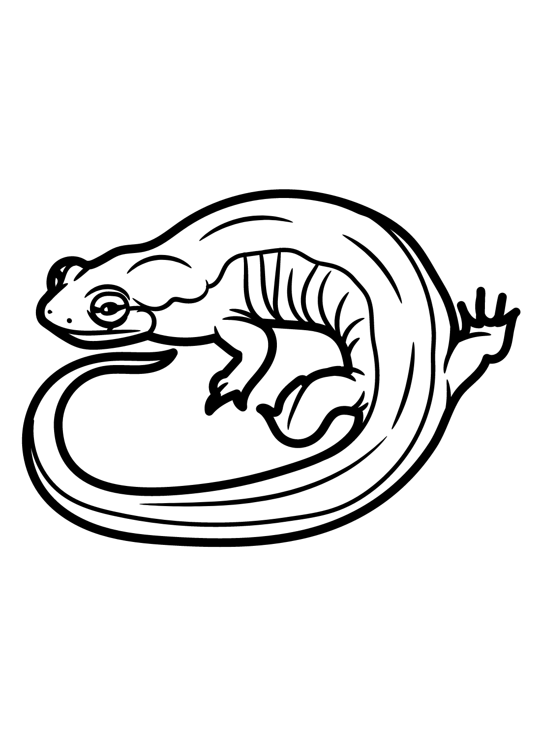 Seepage Salamander Coloring Page