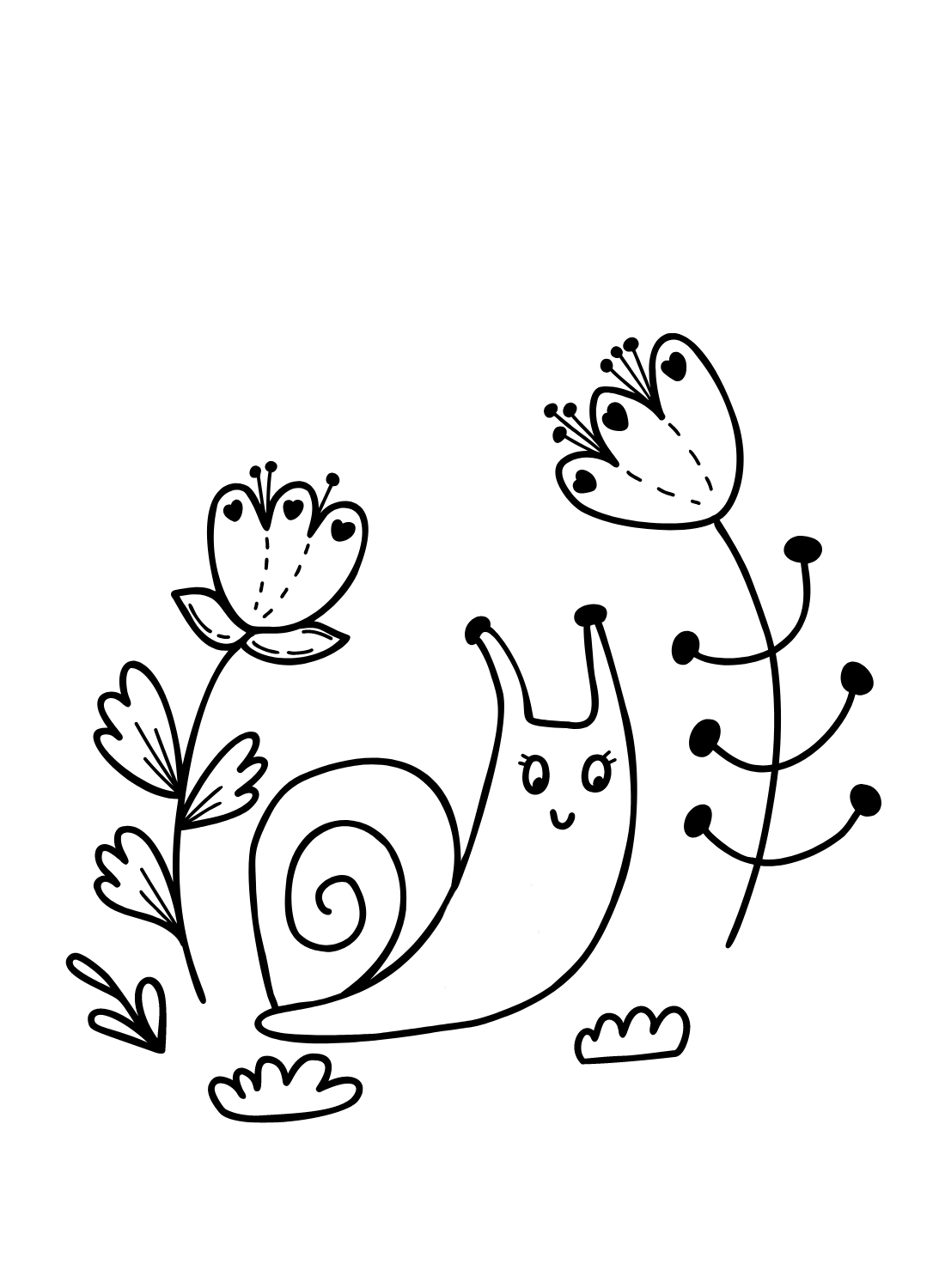 蜗牛花中的蜗牛