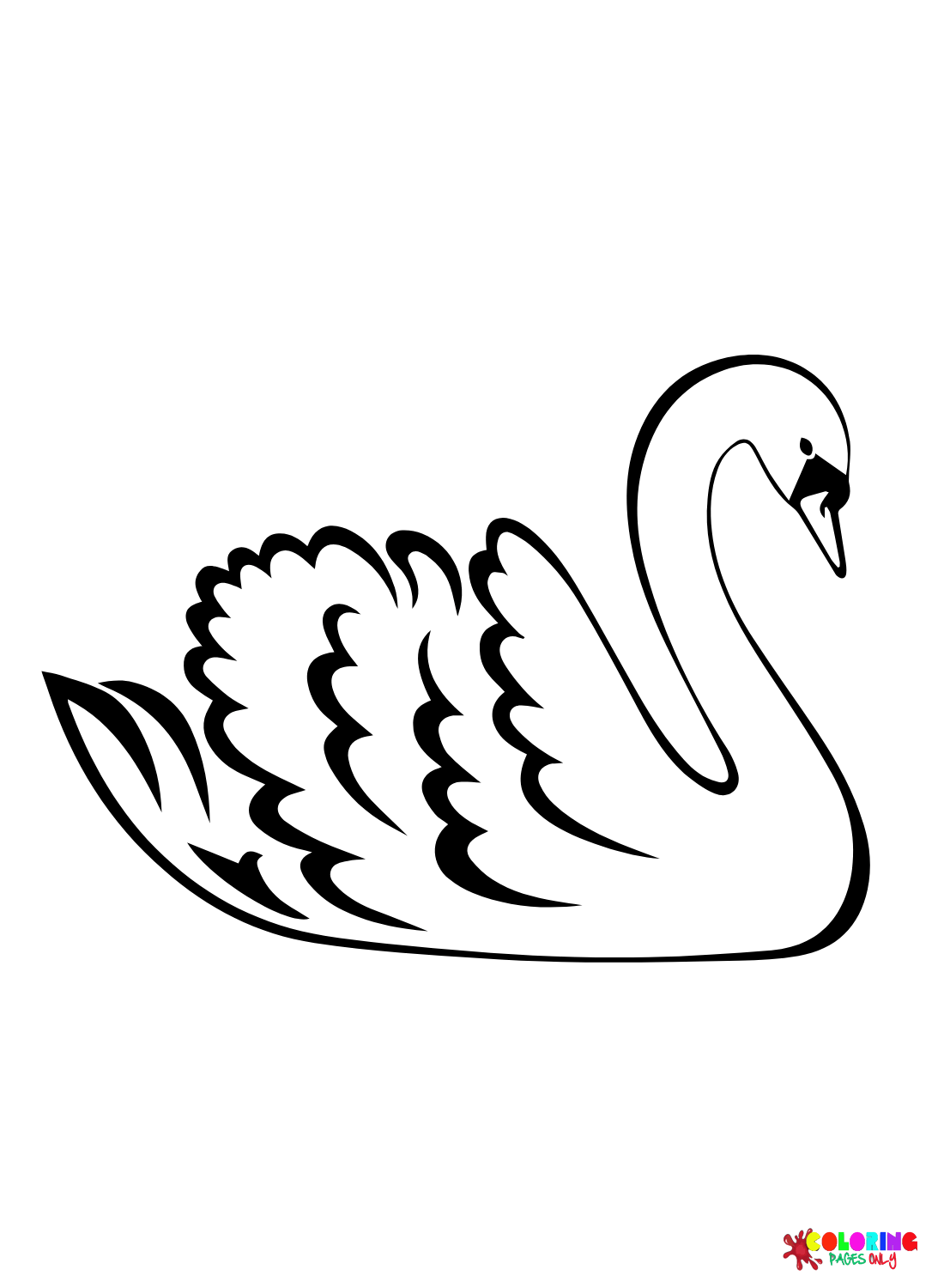 Cygne simple de Swan