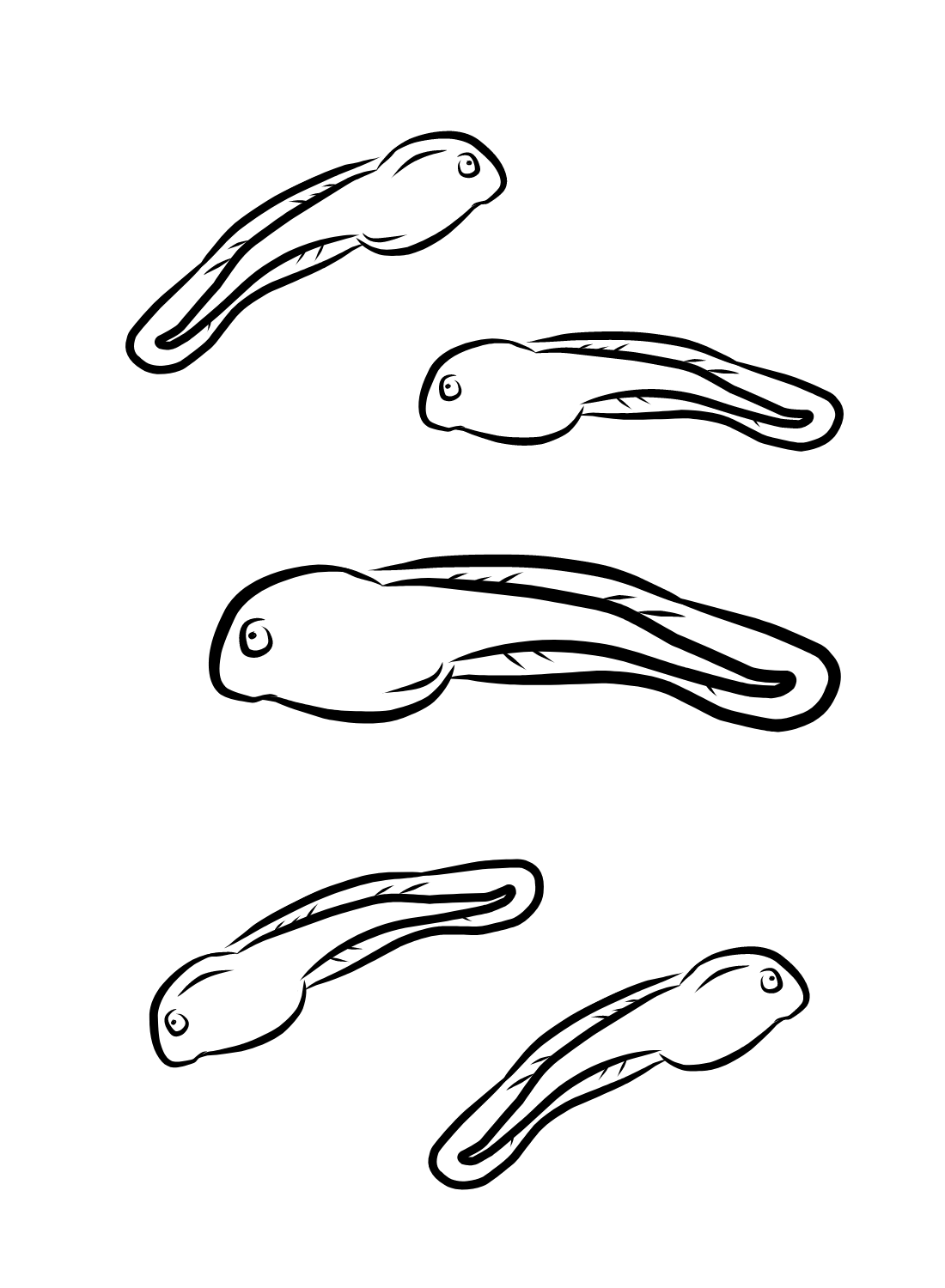 Tadpoles to Print Coloring Page