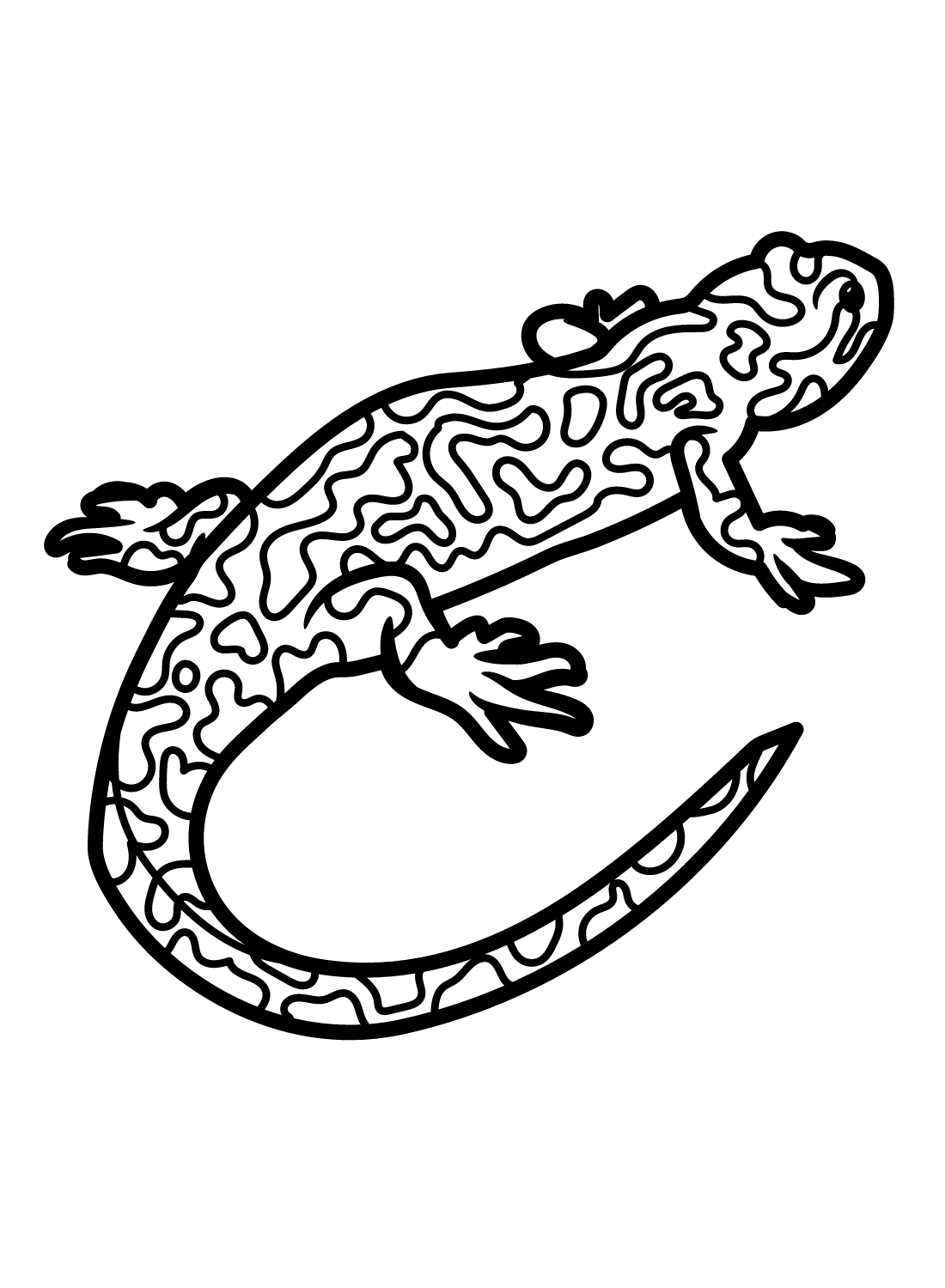 Tigersalamander von Salamander