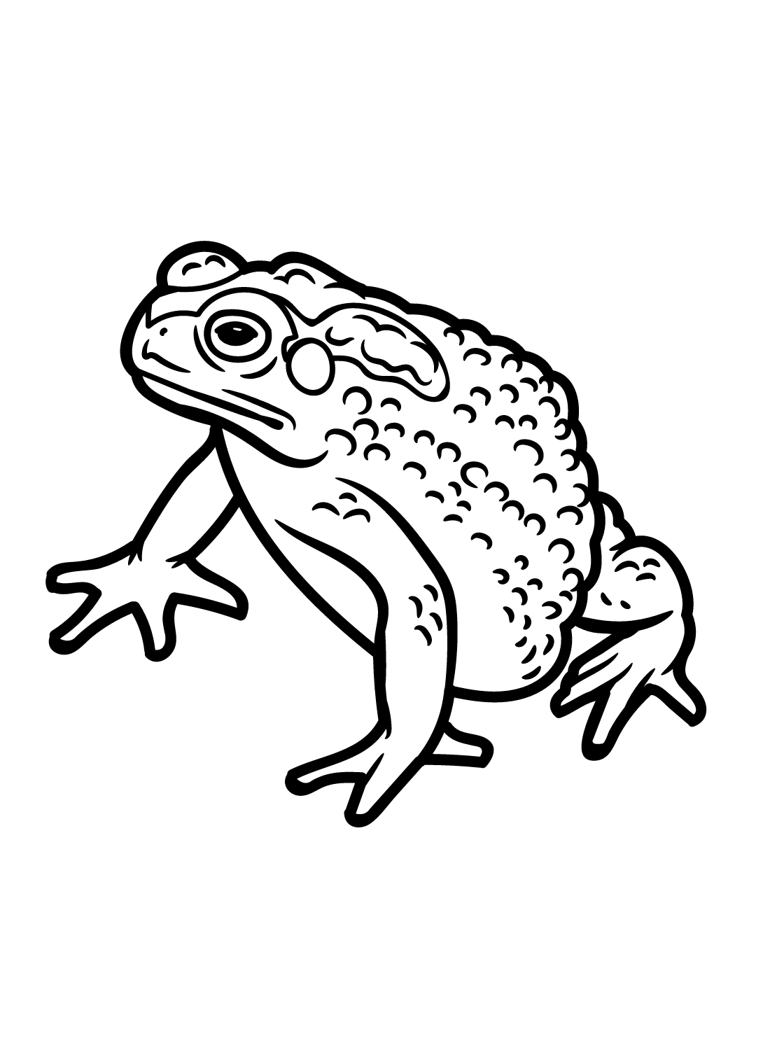 Toad Free Coloring Page