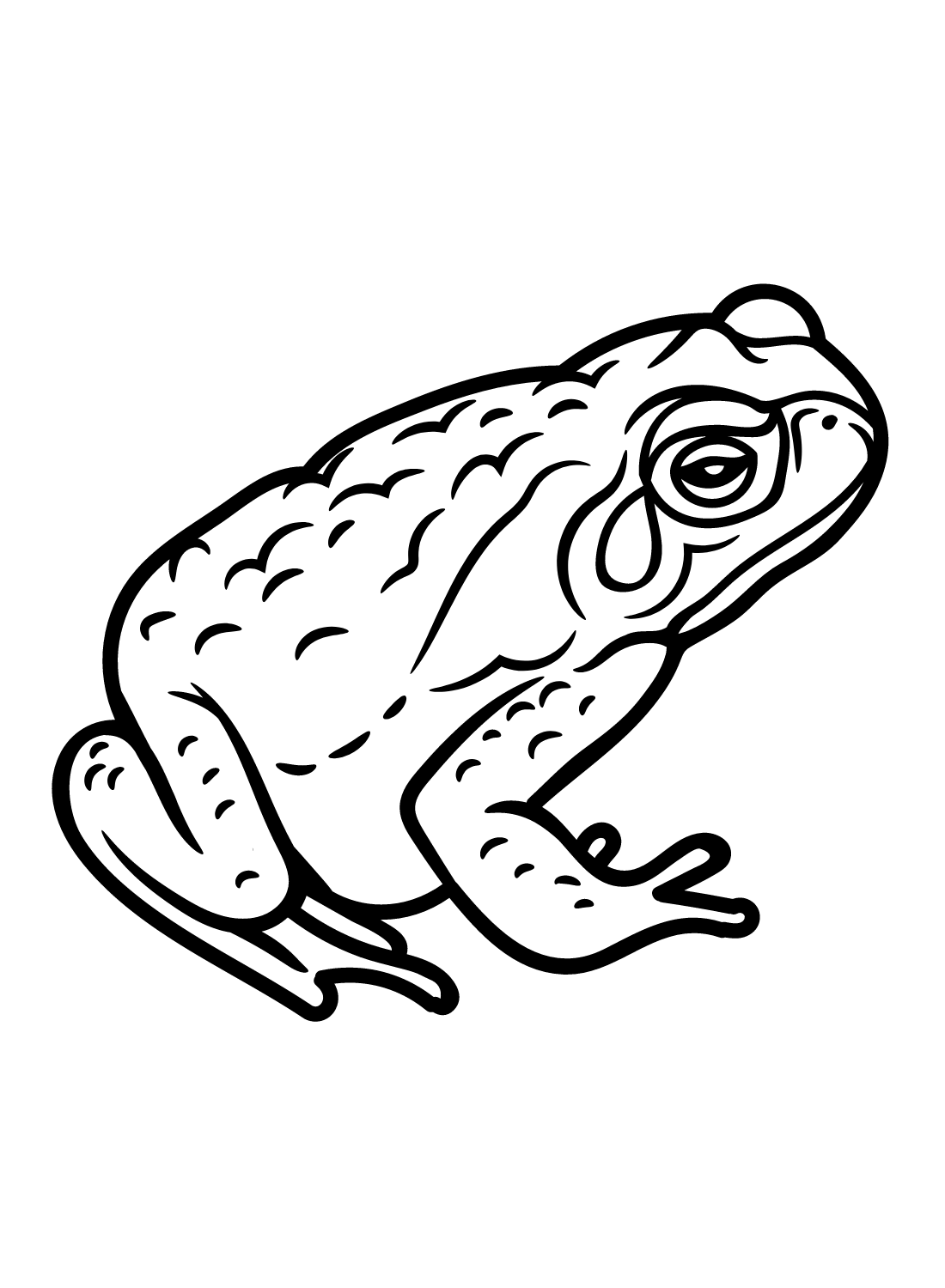 Toad Images Coloring Page - Free Printable Coloring Pages