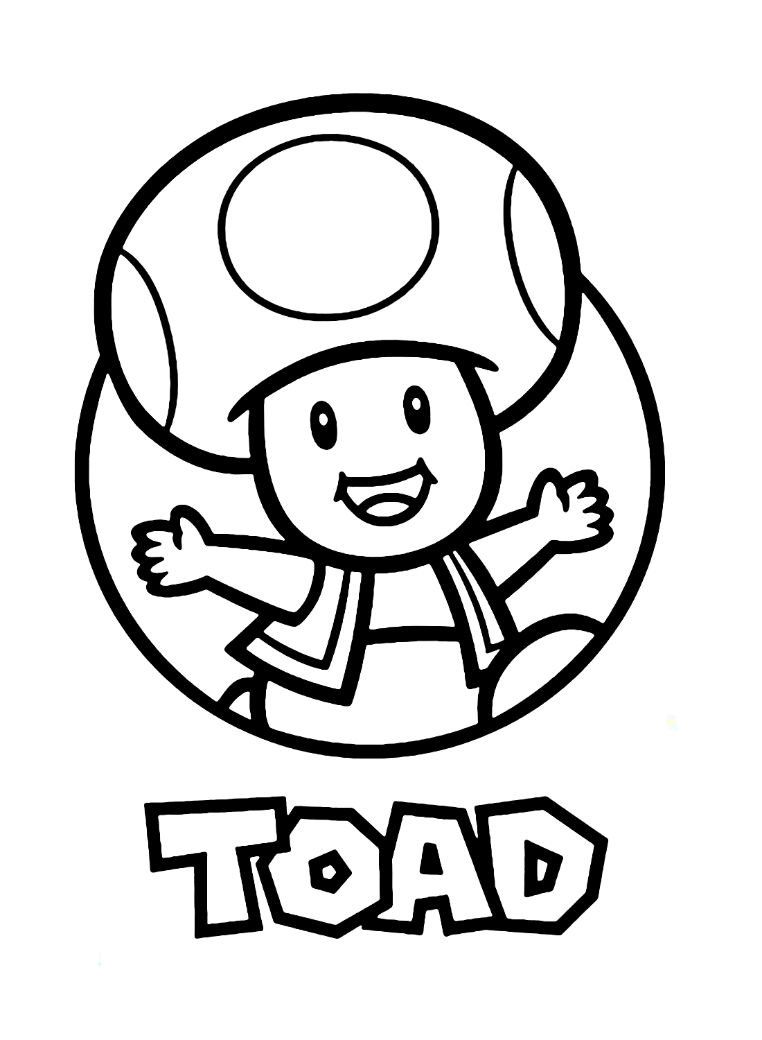 Sapo Super Mario de Toad Mario