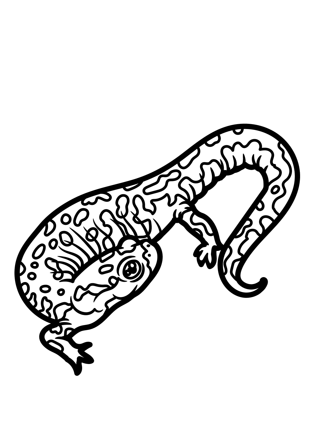 Wellerssalamander van Salamander