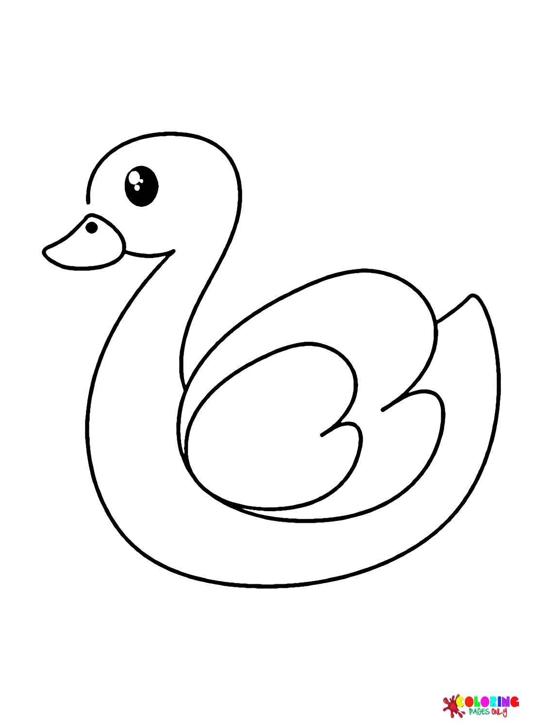 White Swan from Swan