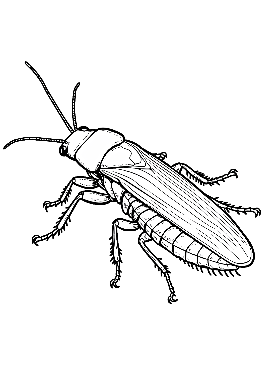 Een kakkerlak van Kakkerlak
