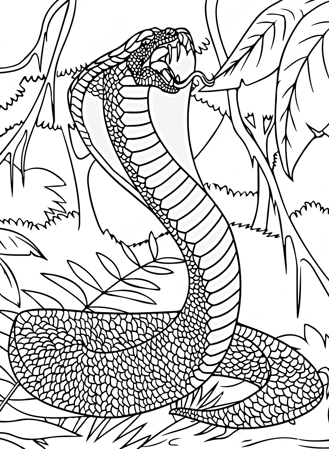 Desenho de uma cobra gigante para colorir