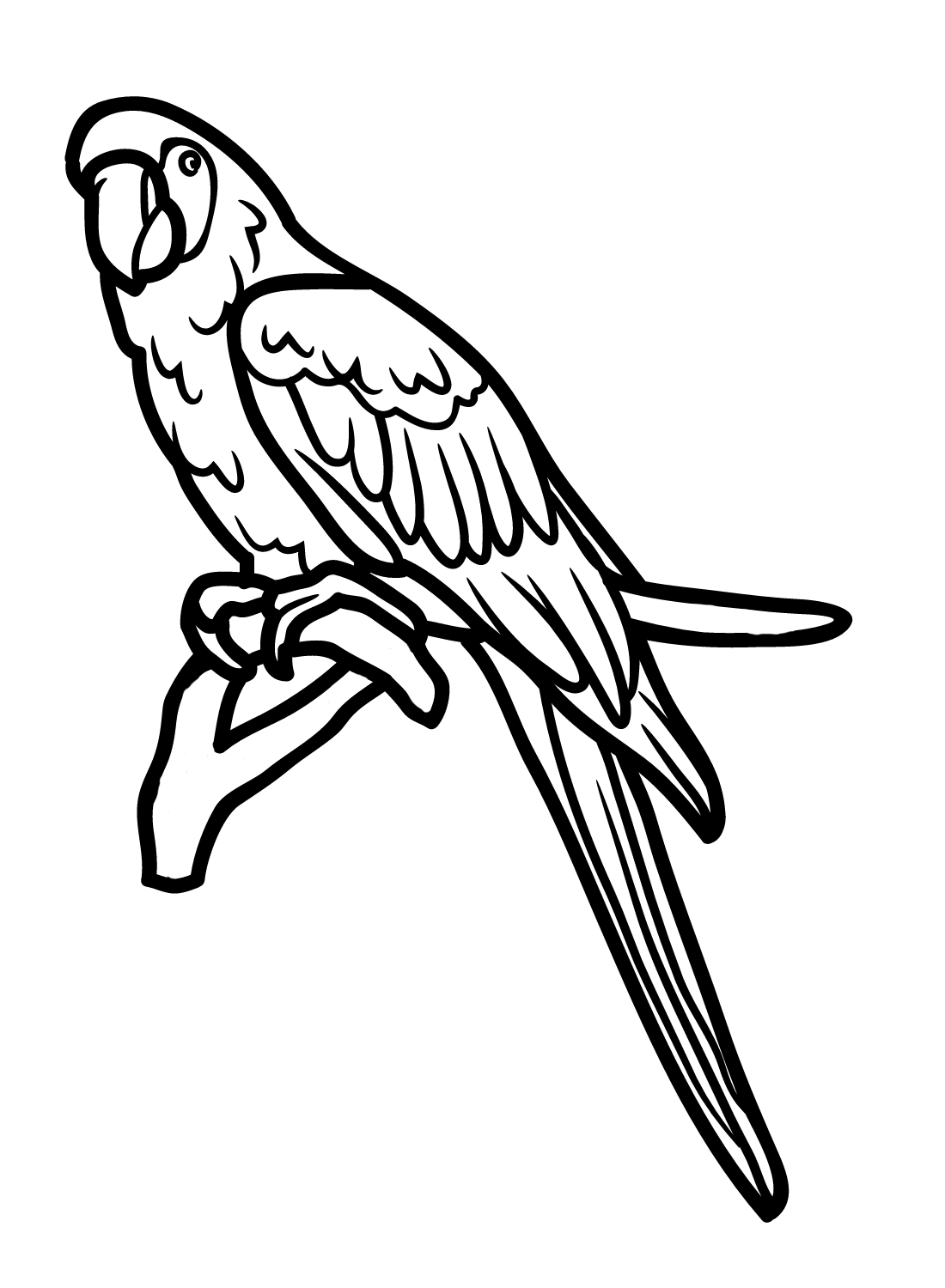 Un ara de Macaw