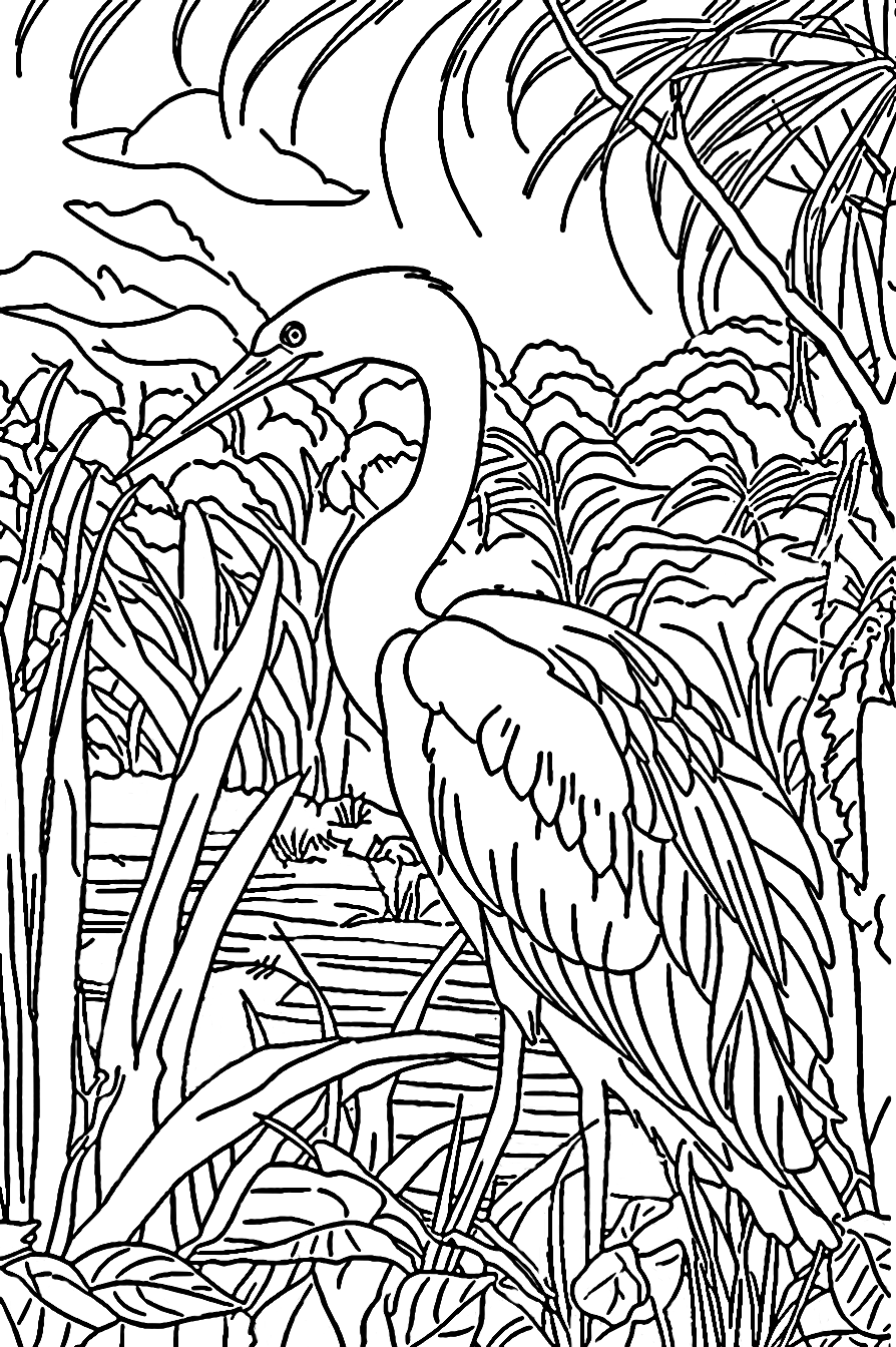 Een ooievaar in een Tropical van Stork