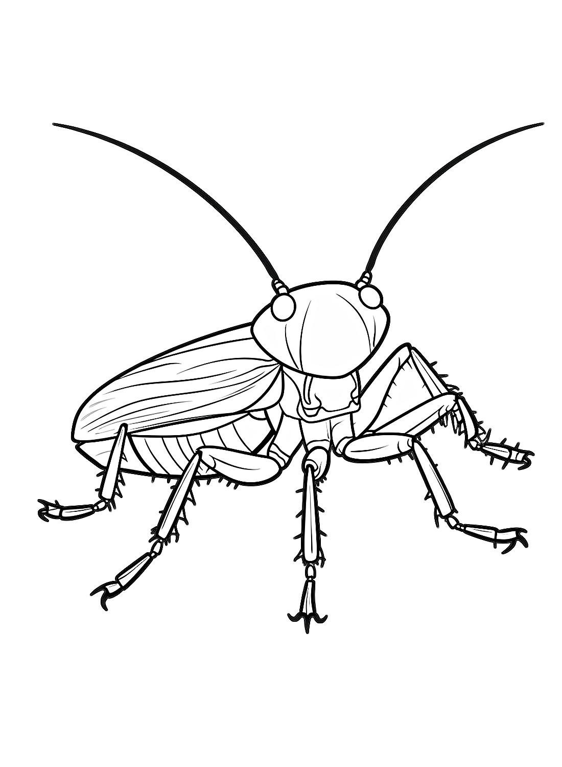 Una cucaracha de dibujos animados de Cucaracha.